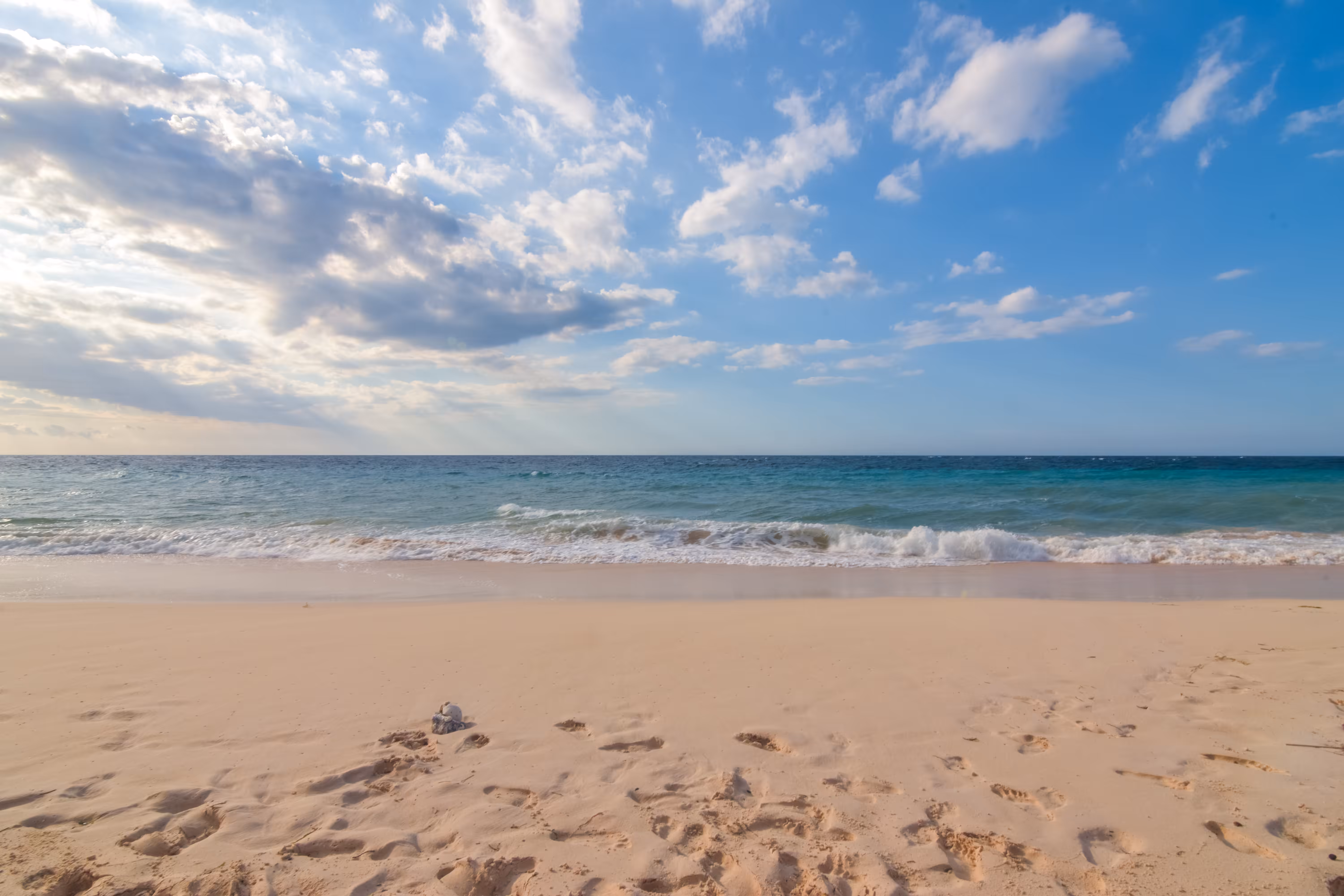 Vitamin Sea #1