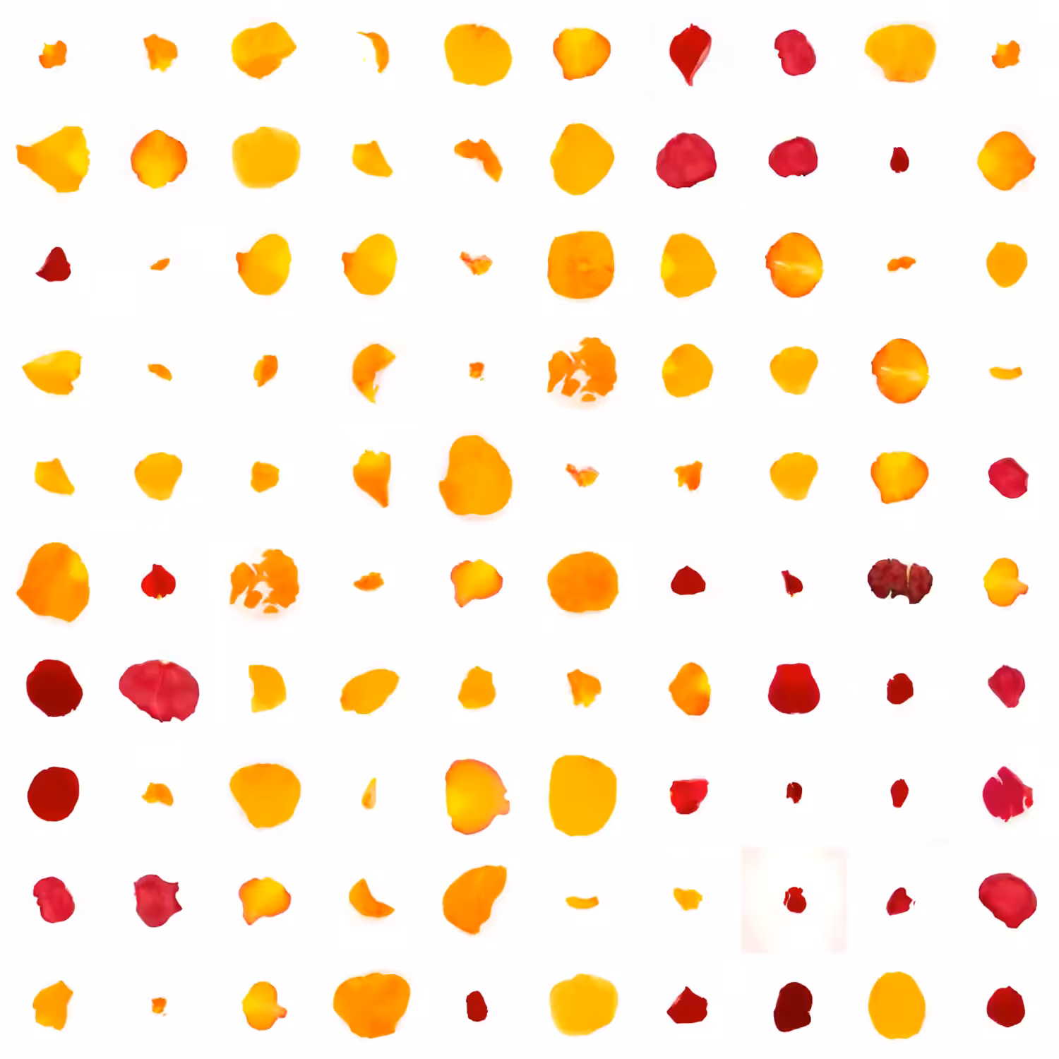 Infinite Petals 10x10#1566