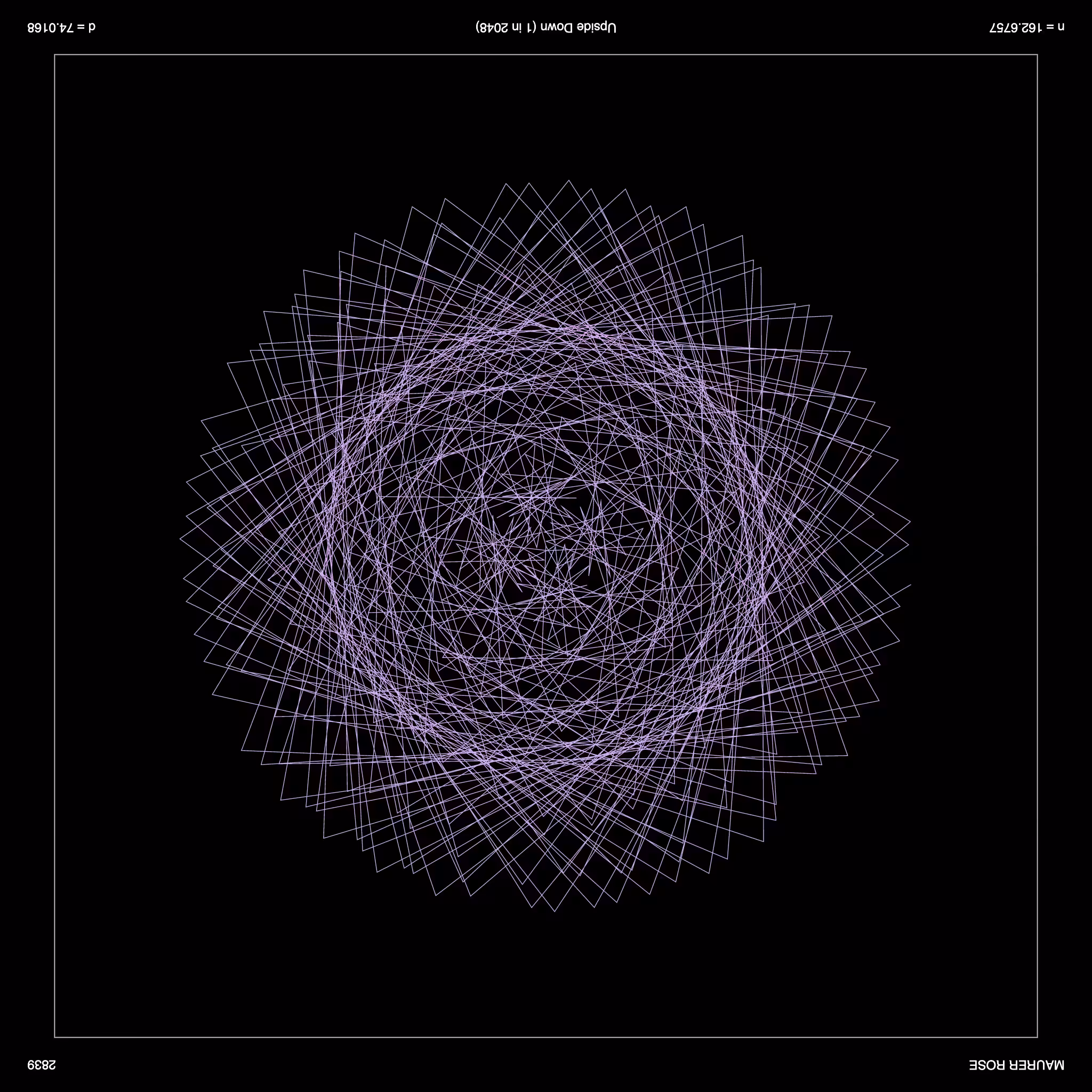 Maurer Rose - Inverse 2839