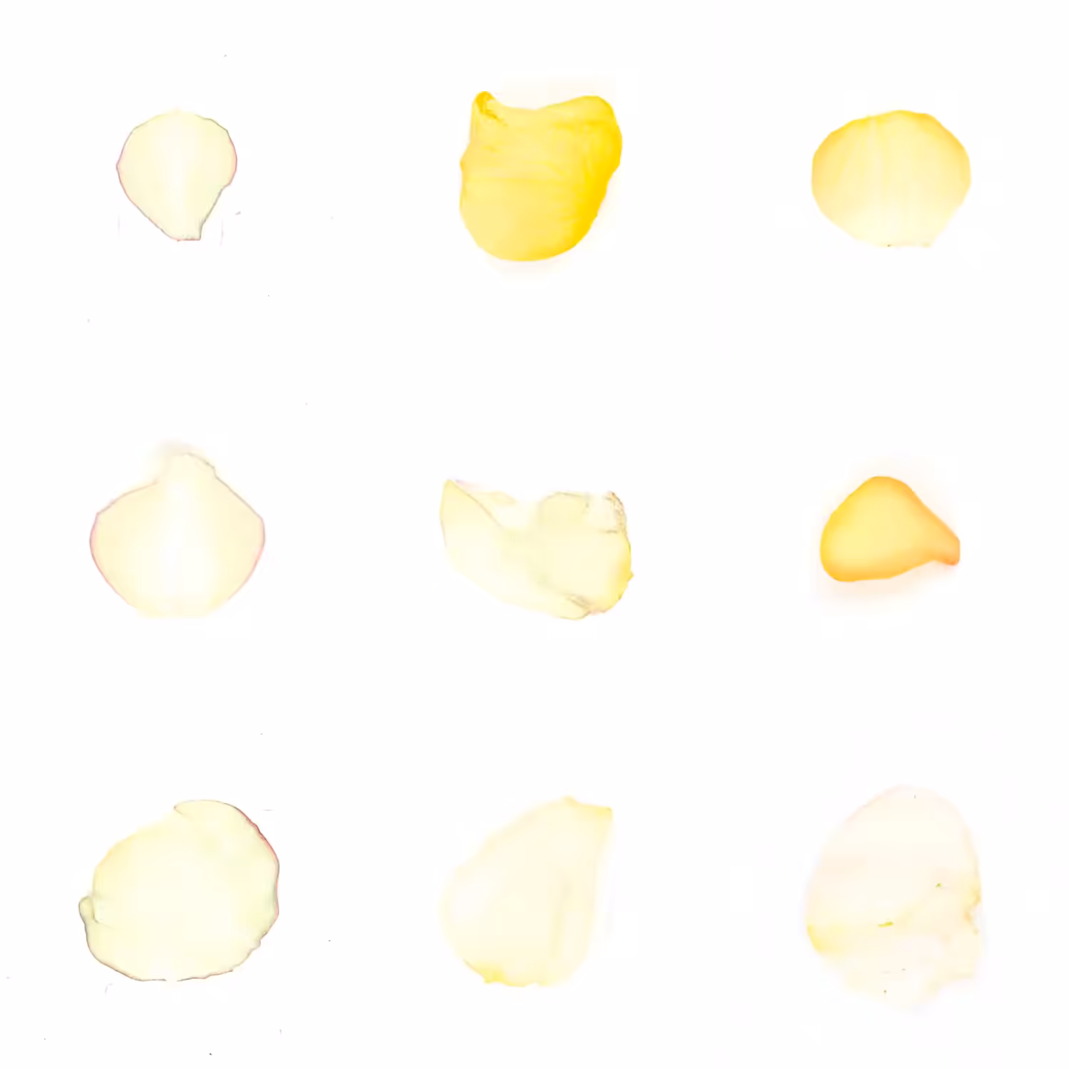 Infinite Petals 3x3#790