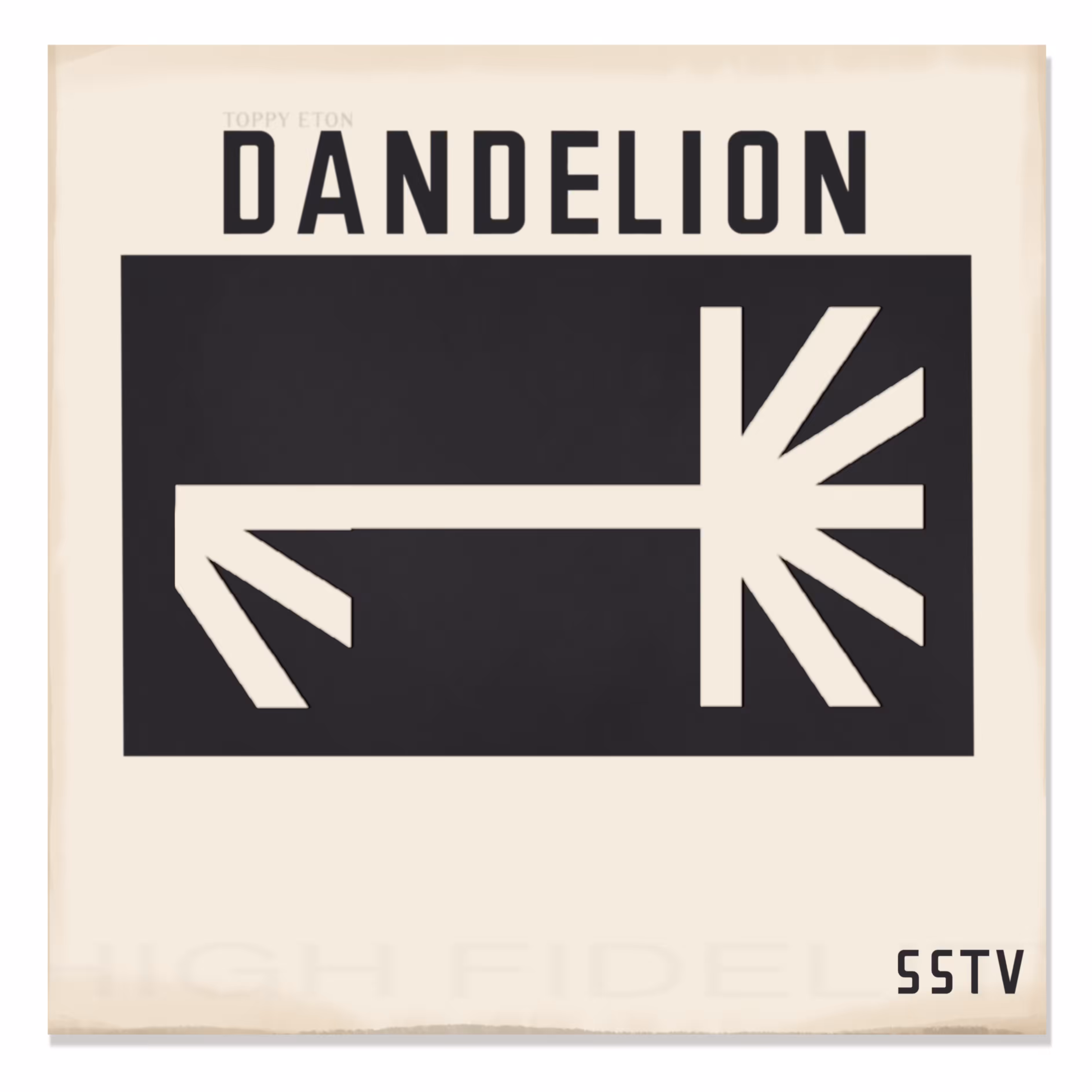 DANDELION SSTV VINYL RECORD