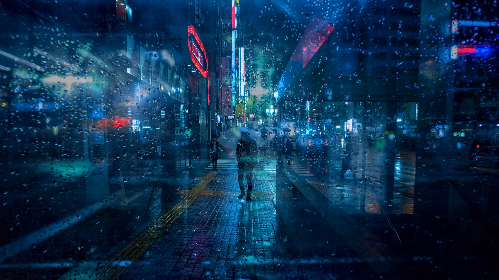 Spirit of the Night | 夜の魂