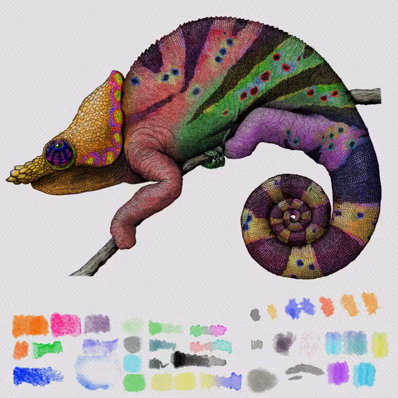 Colorful Cameleon #18