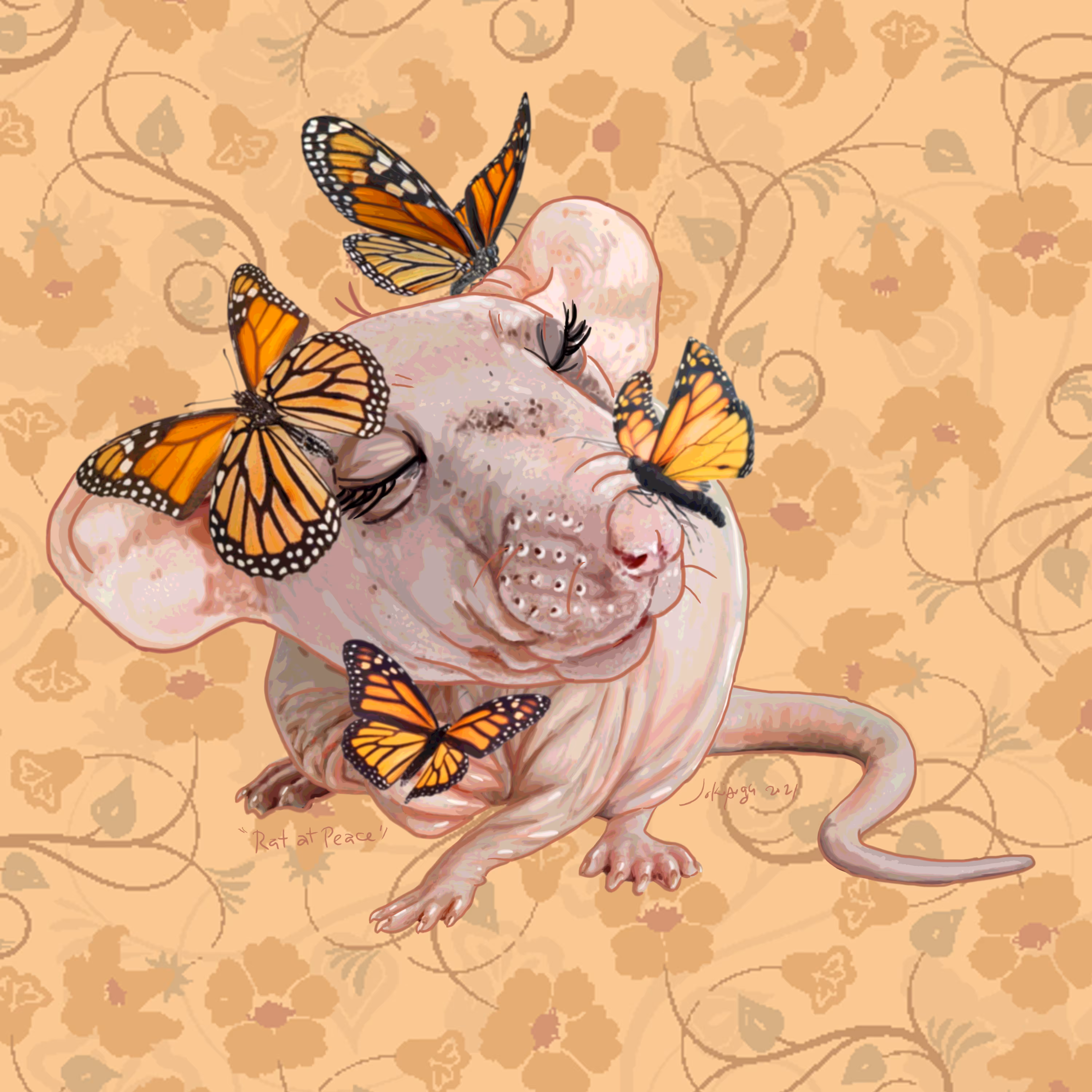 rat at peace