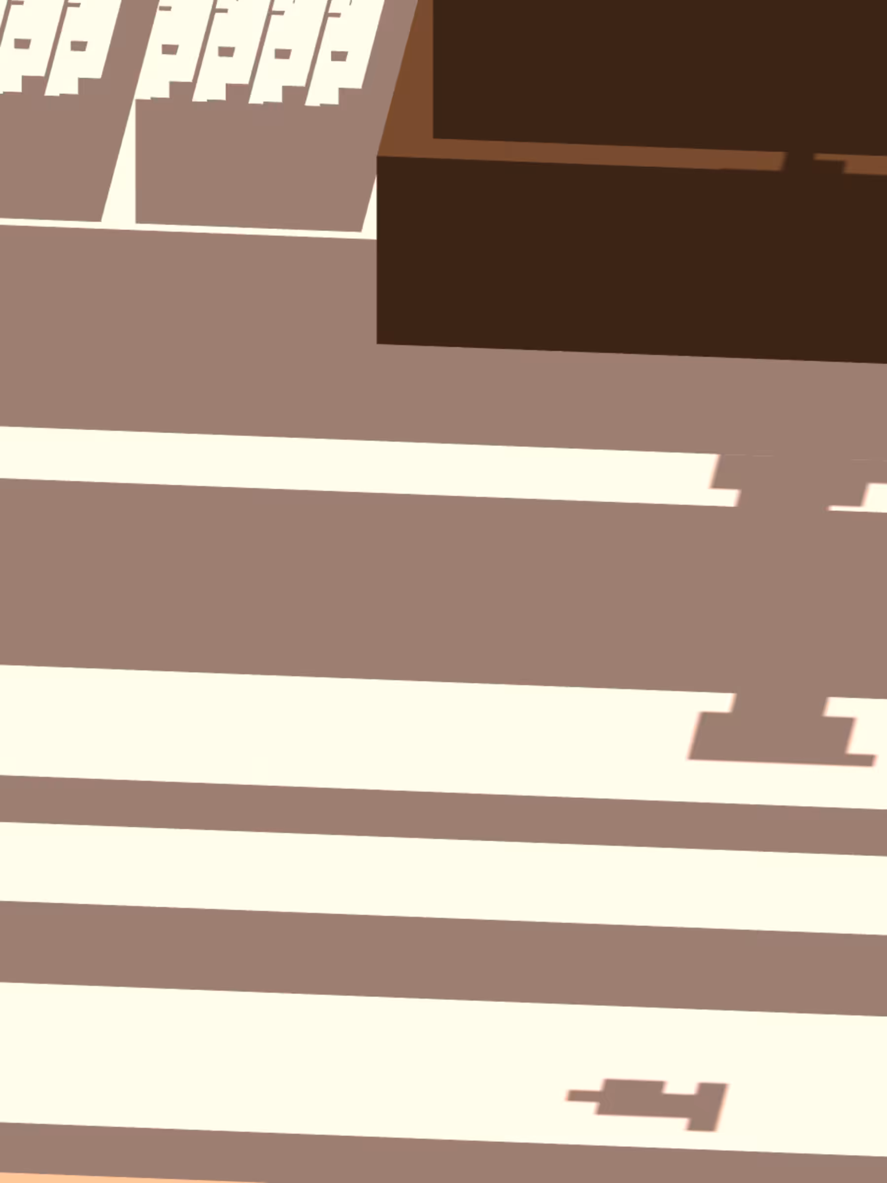 Democracity #495