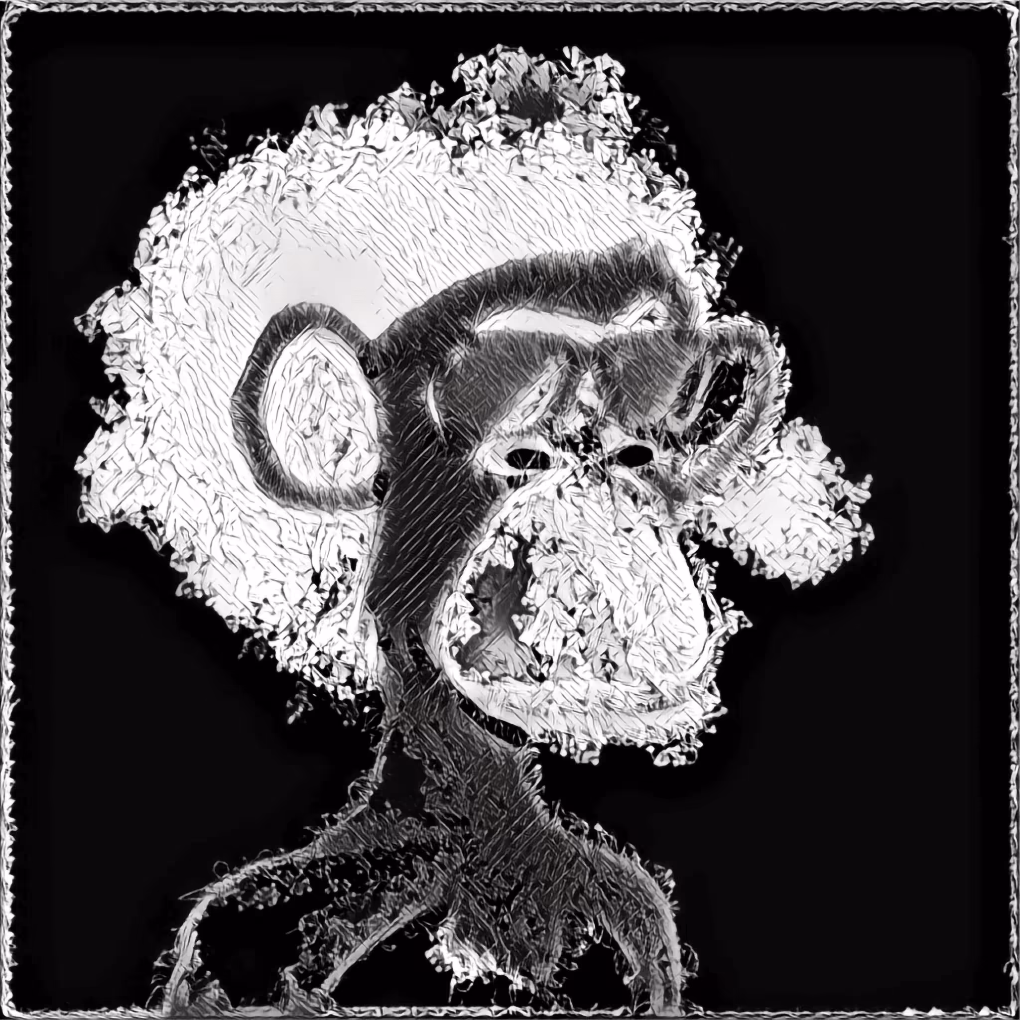 Bored Ape #6068 DD 1 / XIII 