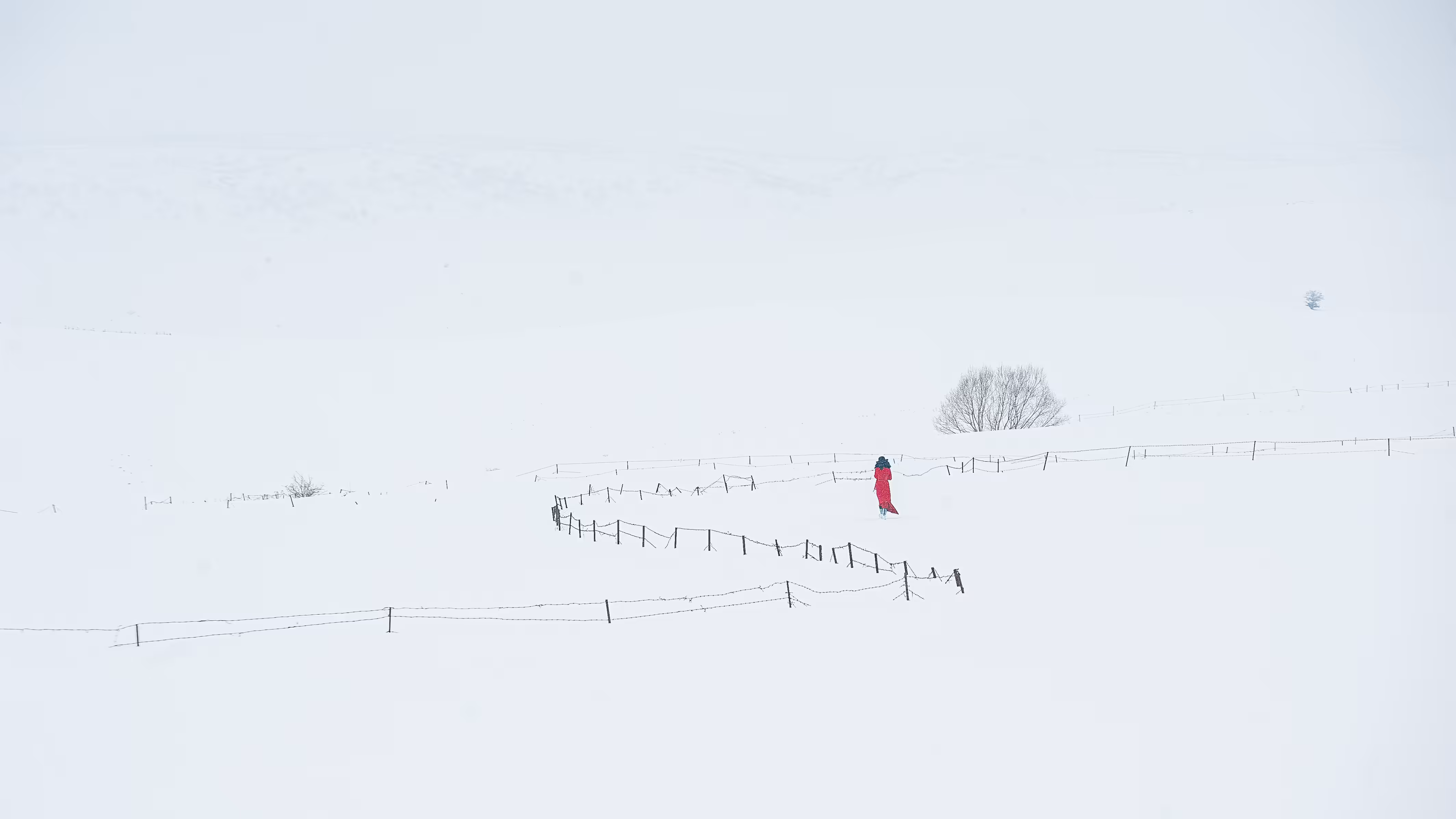 Land Silence