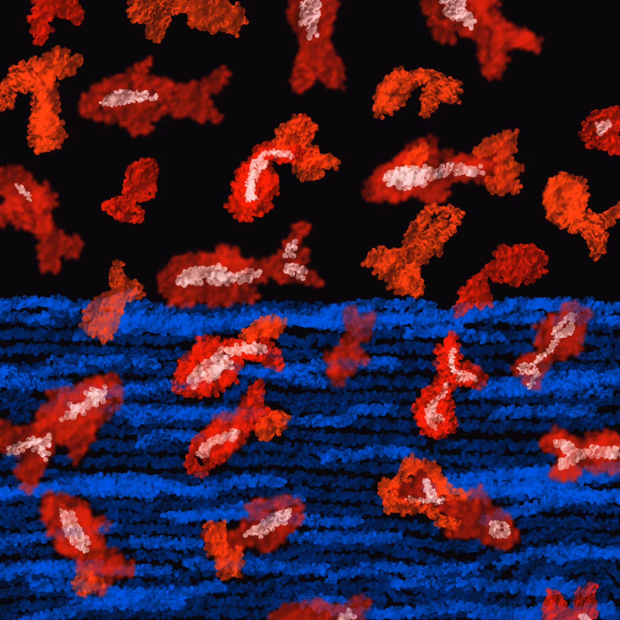 Floating and Swimming of Red Fishes