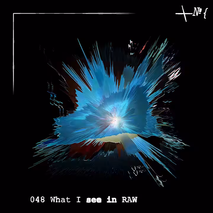 048 What I see in RAW