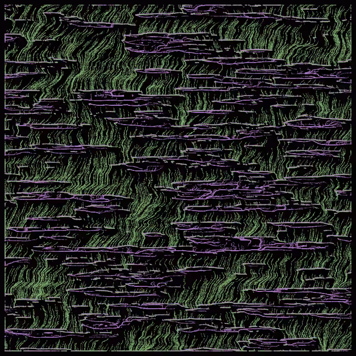 magical swamp #36