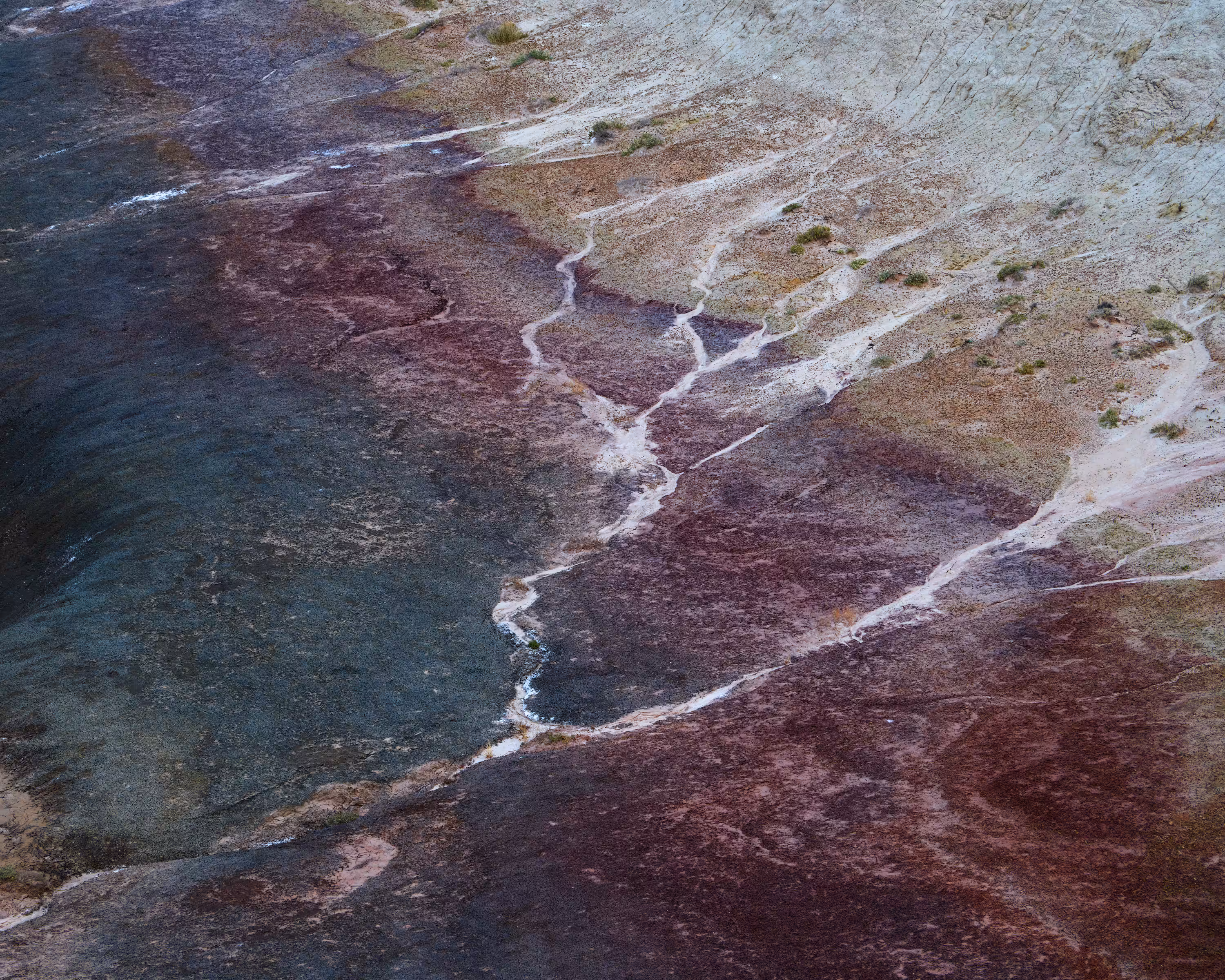 Rainbow Shore