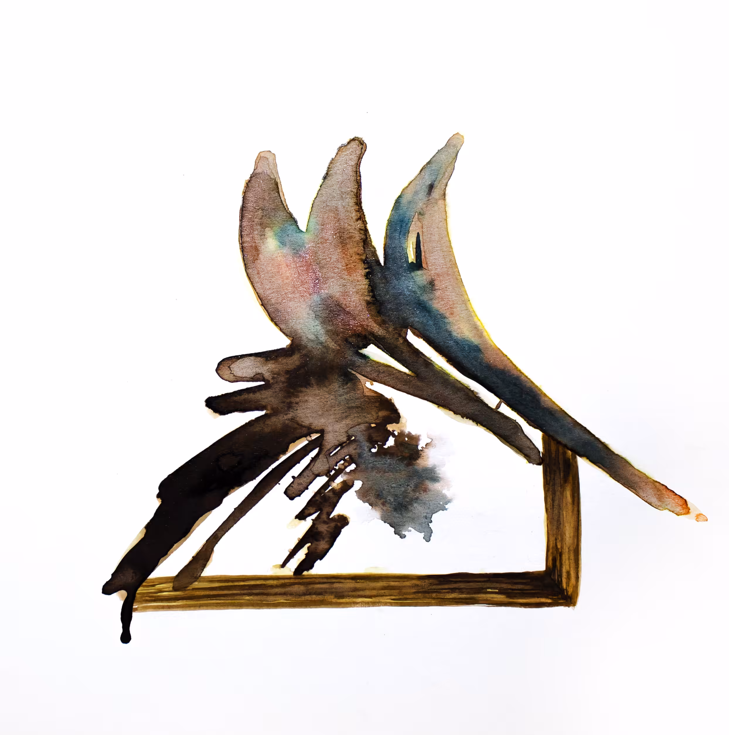 Song of Birds 2