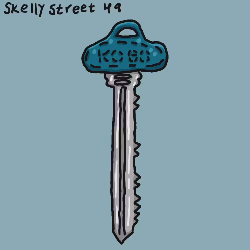 Skellystreet 49
