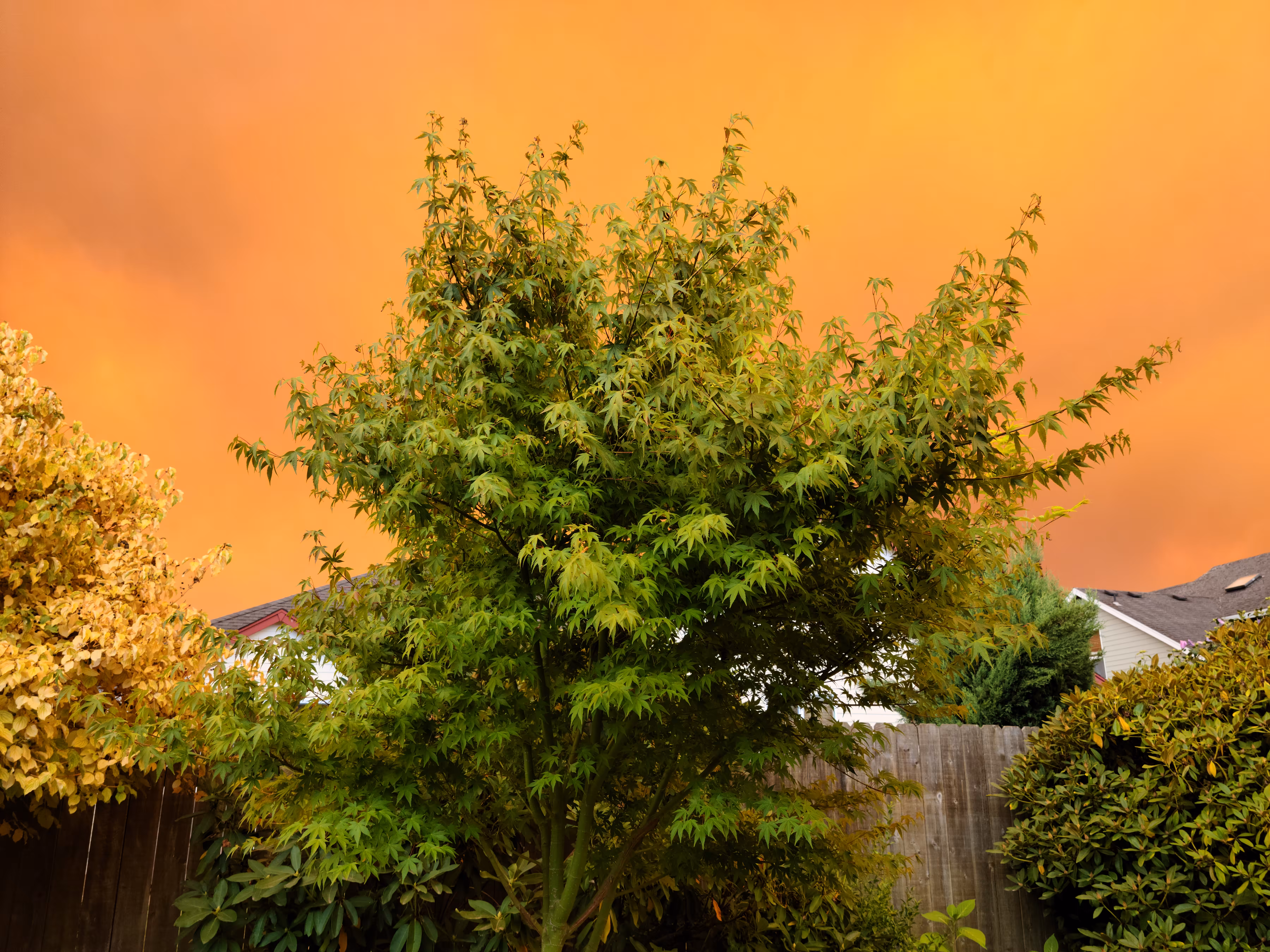 Sky Fire 3