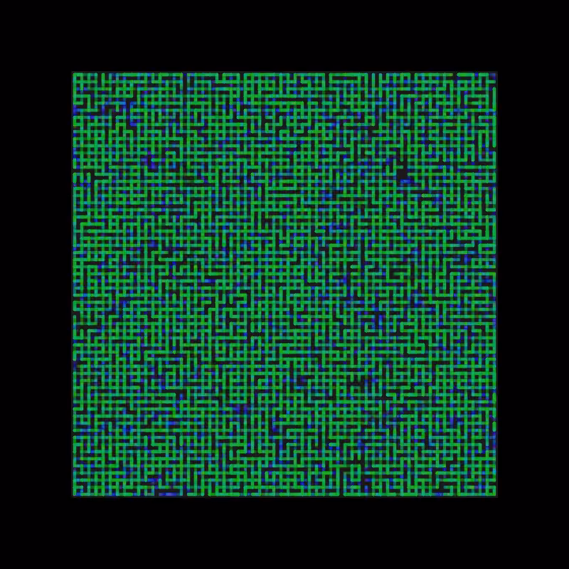 maze #9