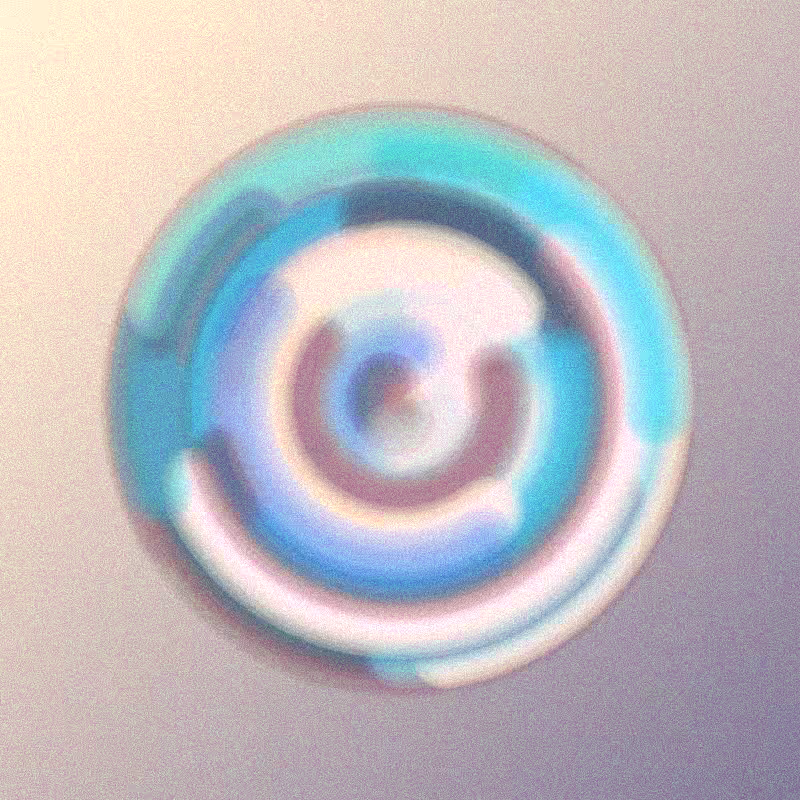 Wisp #810