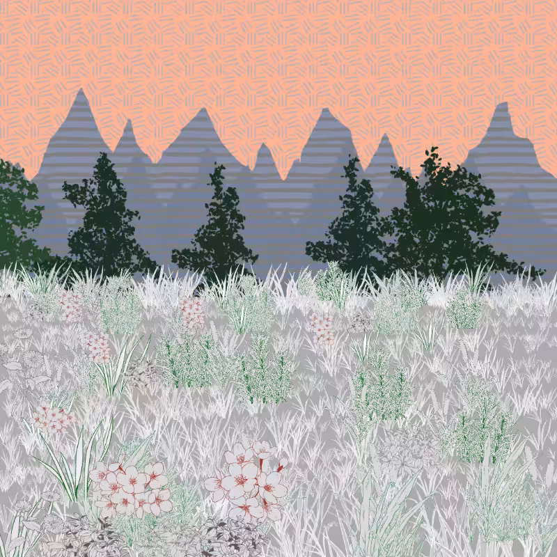 Mountain Meadows #58