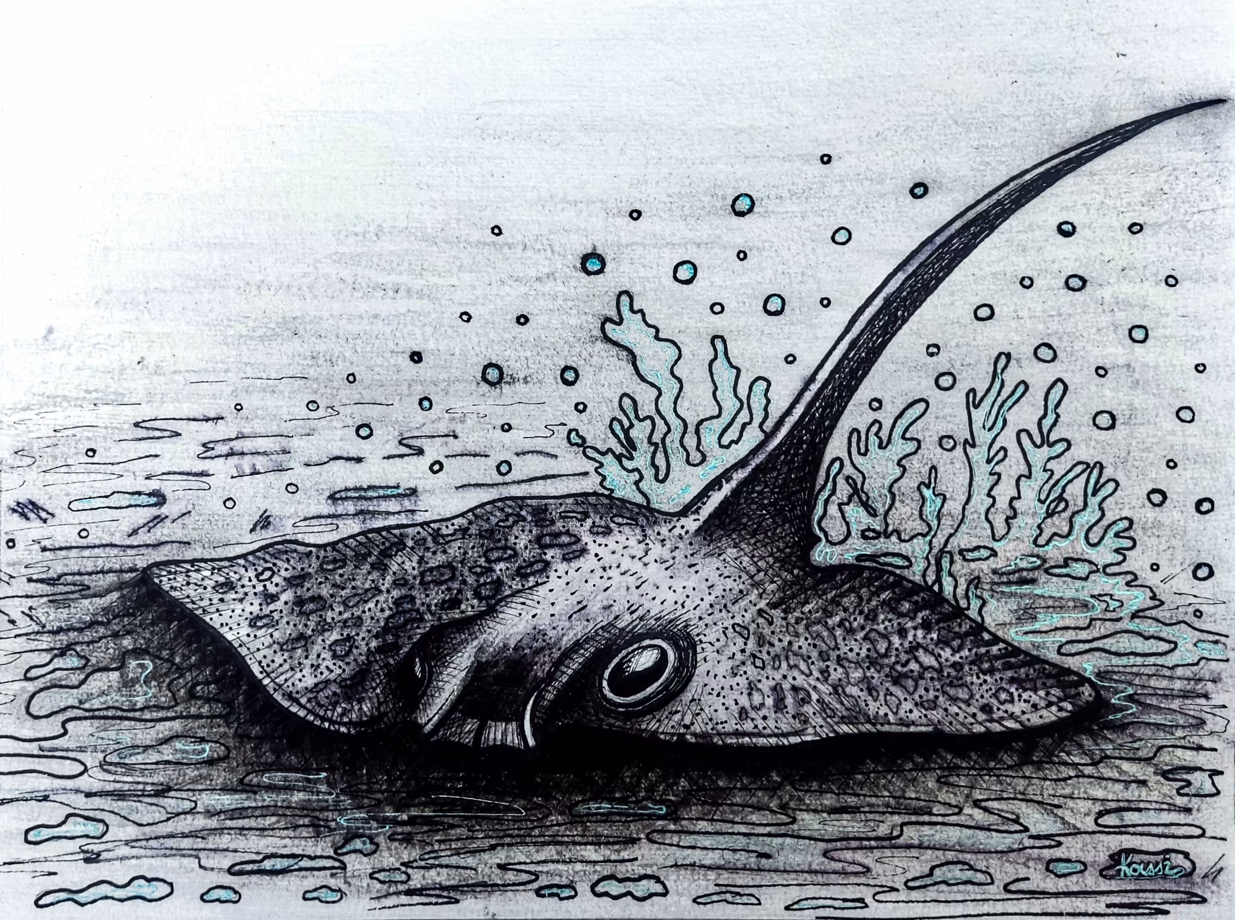 "Stingray"