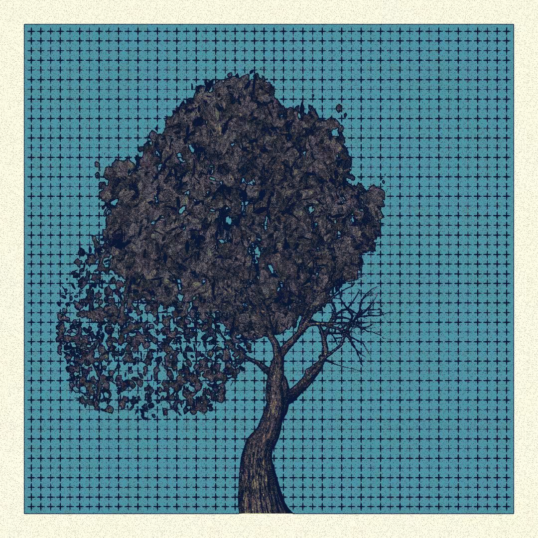 _argania[primaria] #269