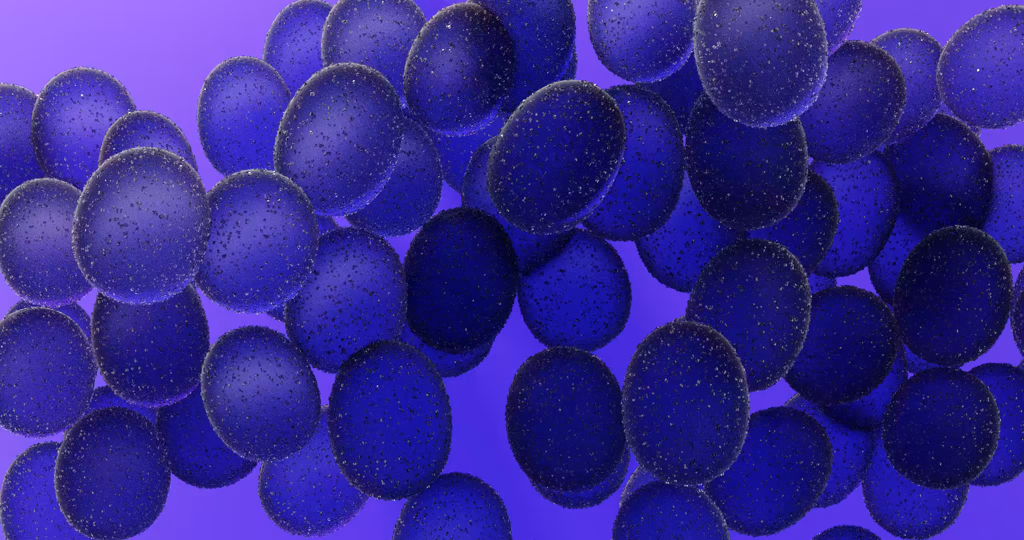 Grape pop study: Syrah