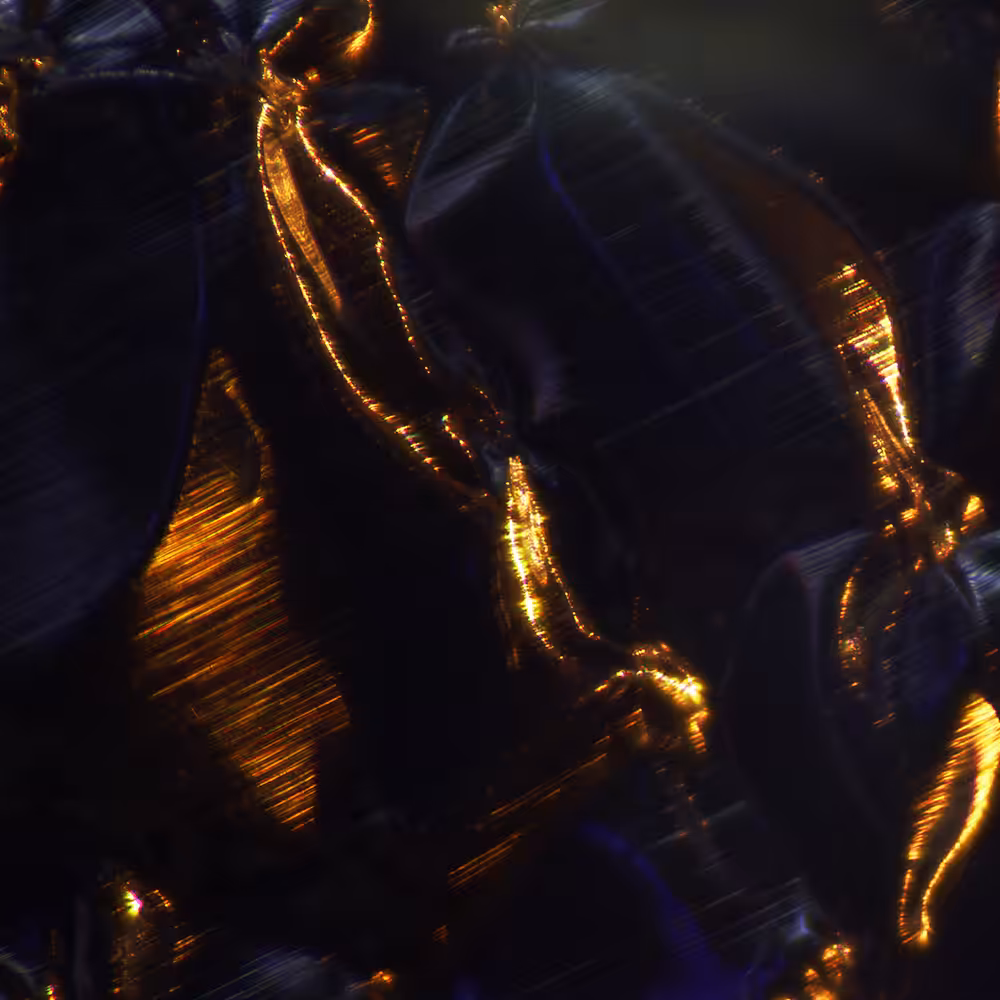 tencu_abstract_1117