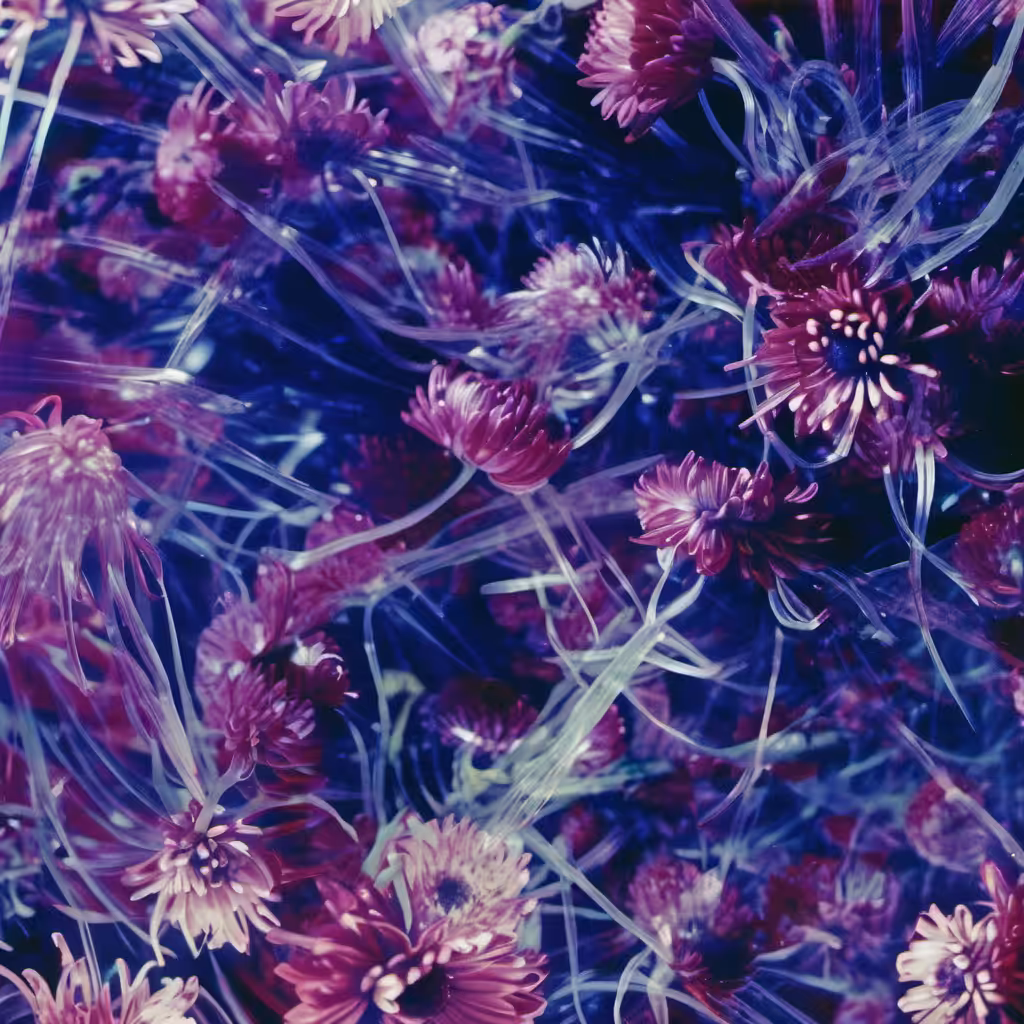 Bloom #6