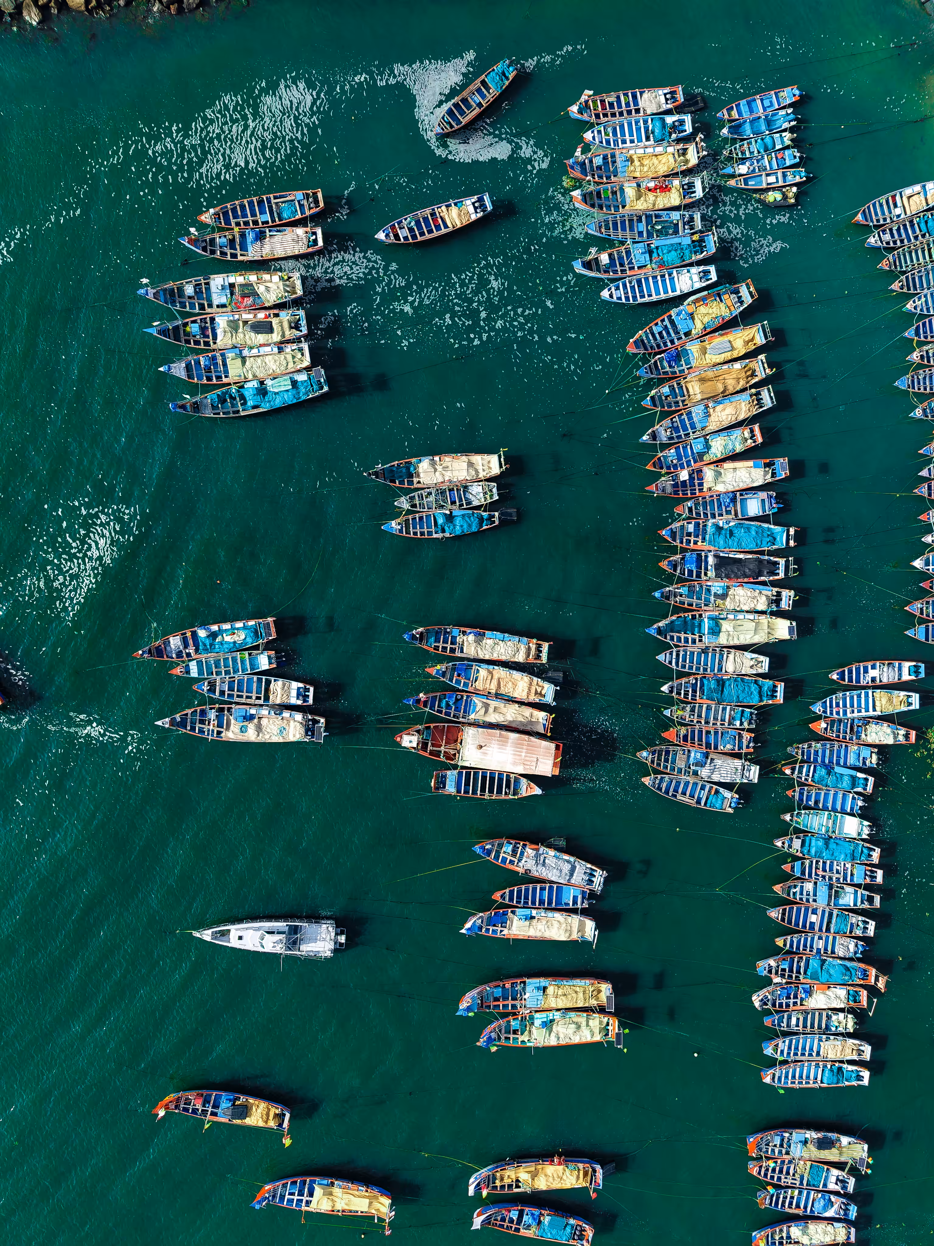 Harbour Hues