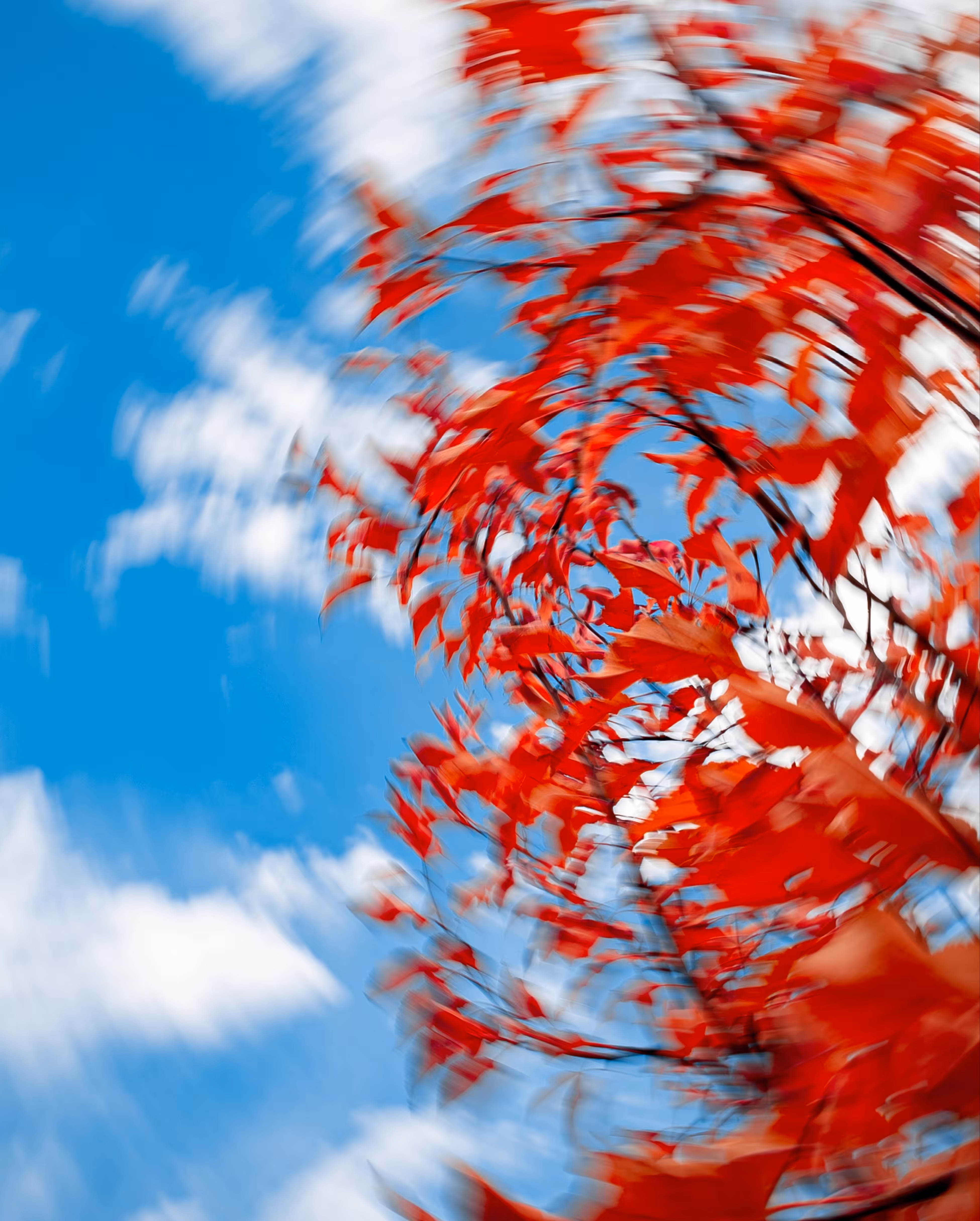Swirly autumn breeze