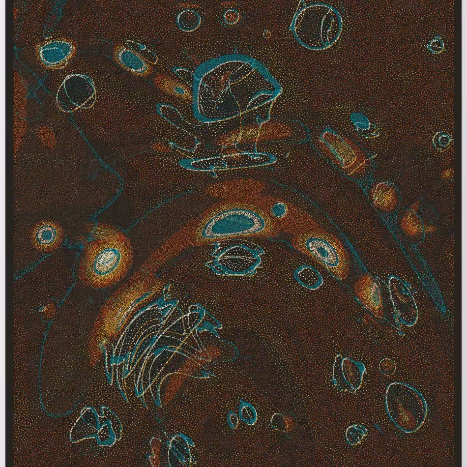 Caustics #187