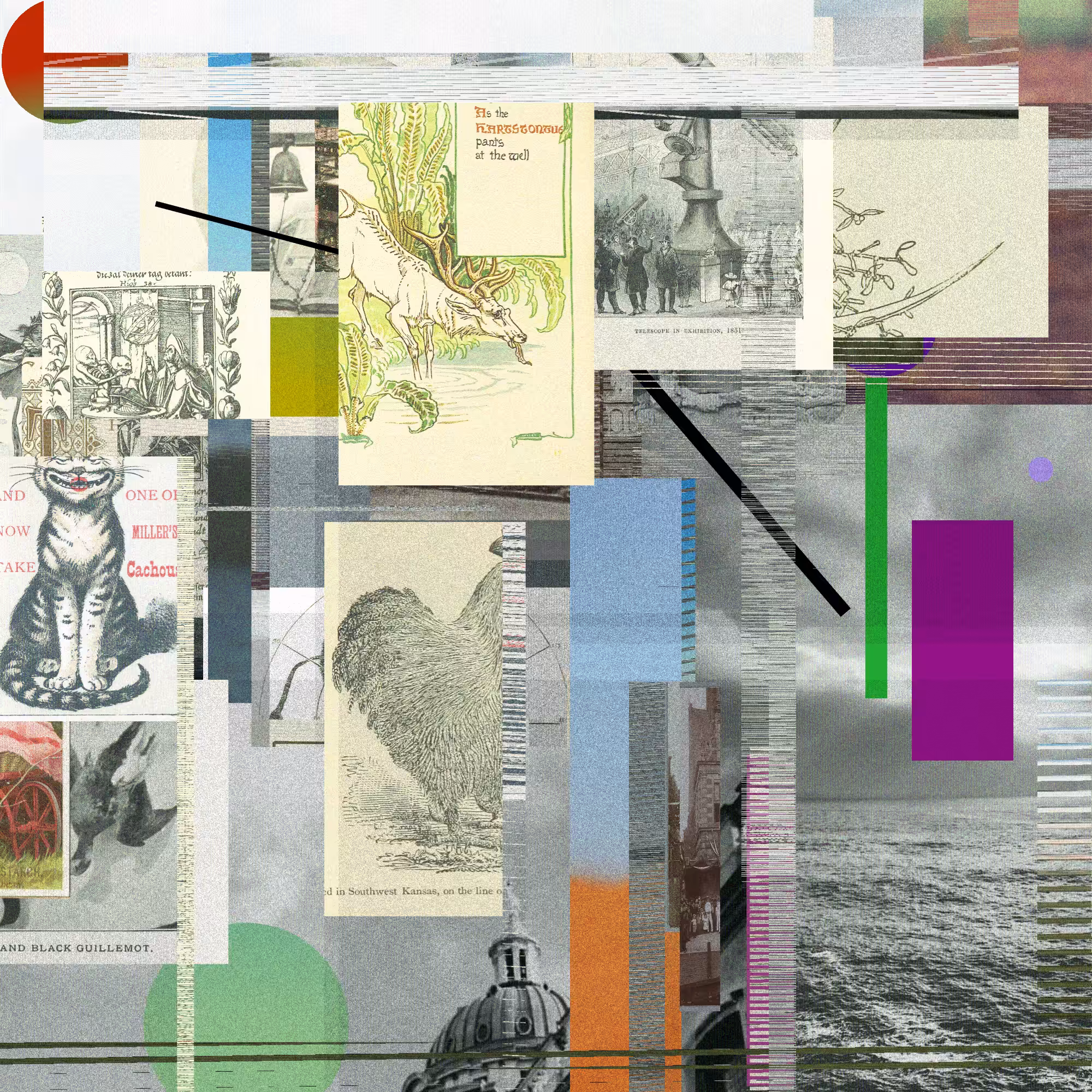 Unconscious Collages #1324