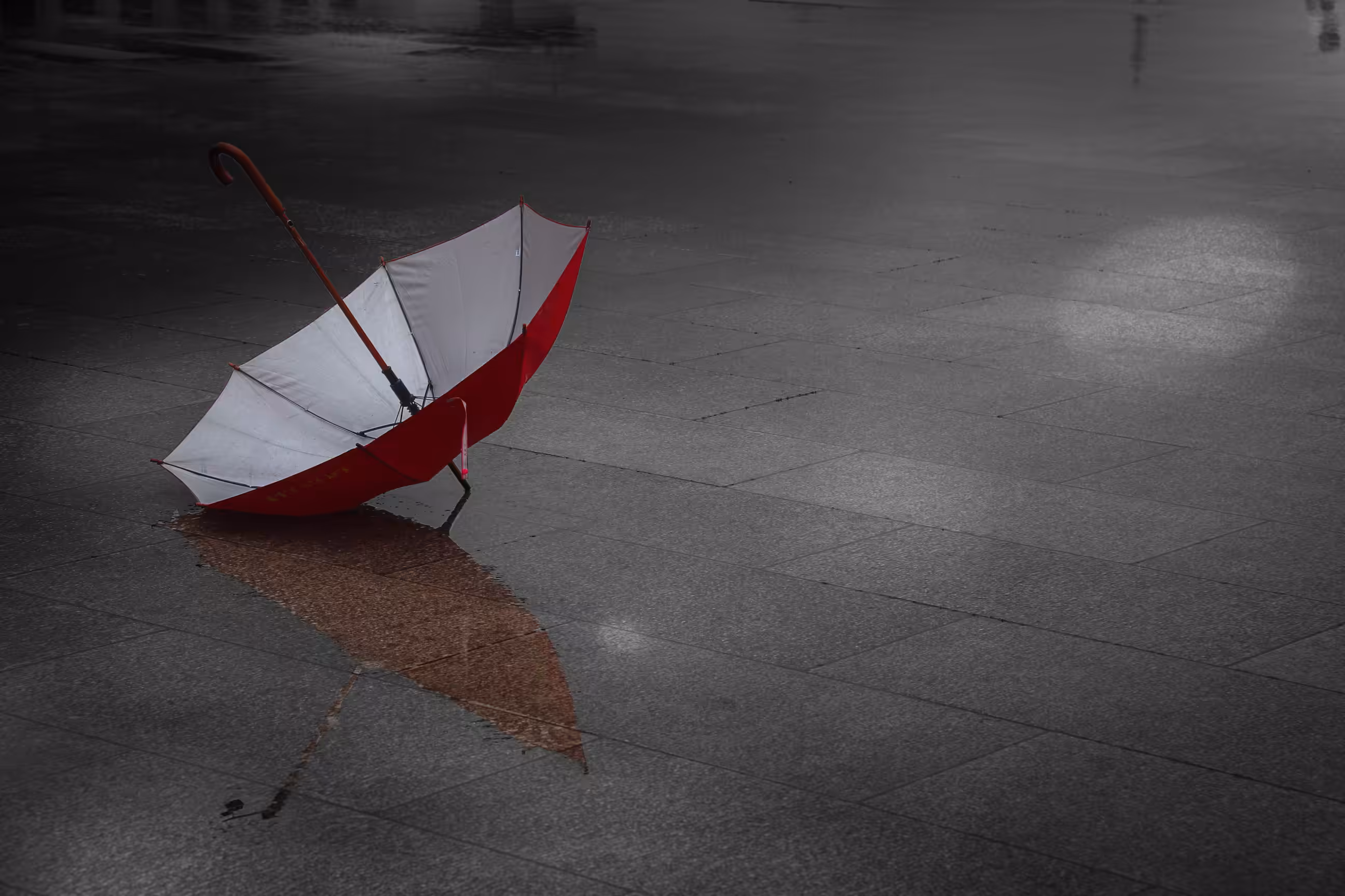 The Red Umbrella in a Grey World