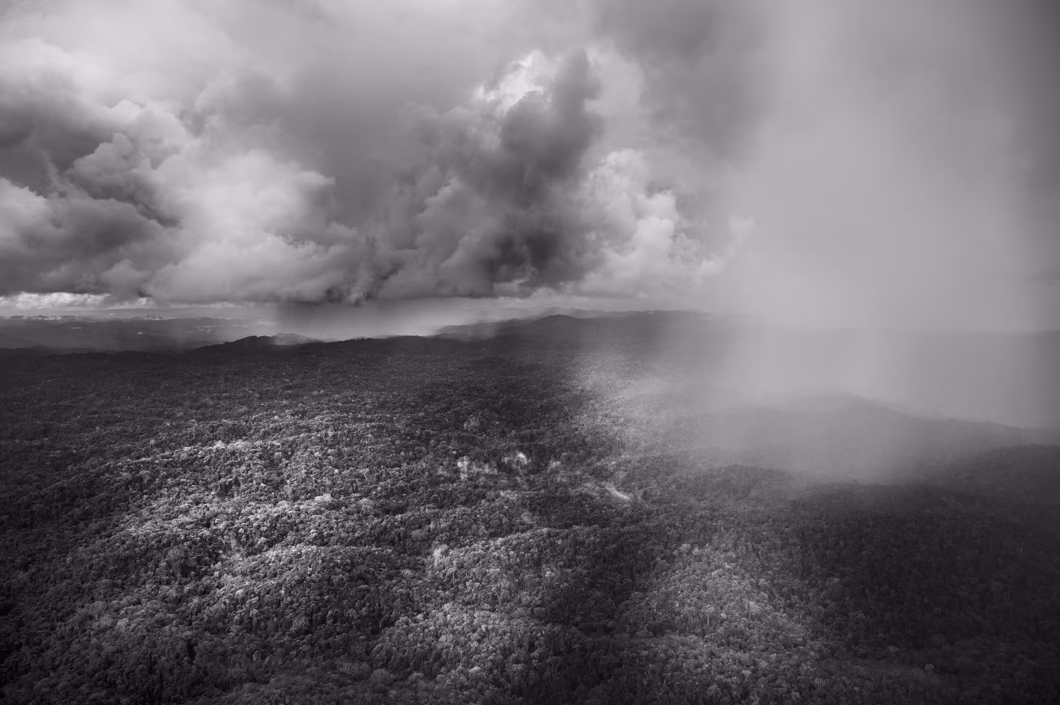 Amazonia #1618
