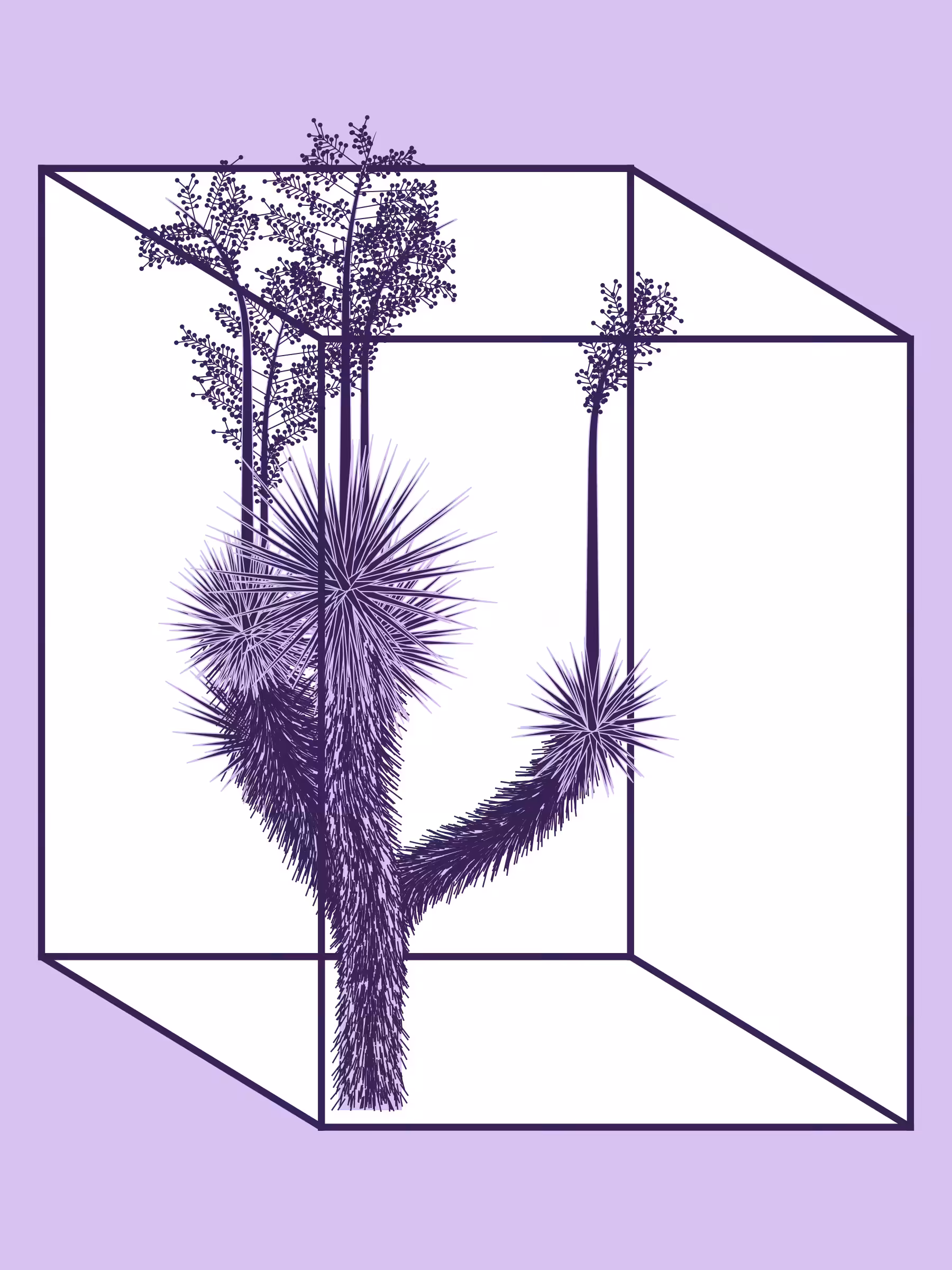Marfa Yucca #200