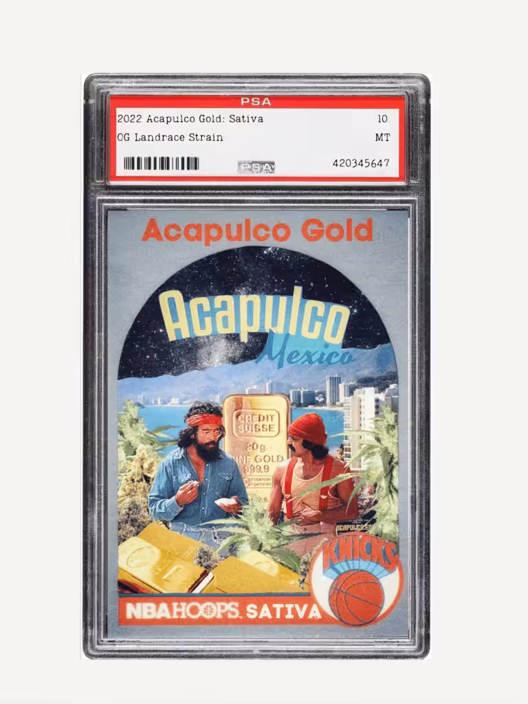 2022 Acapulco Gold TC: Sativa (Landrace/seed)