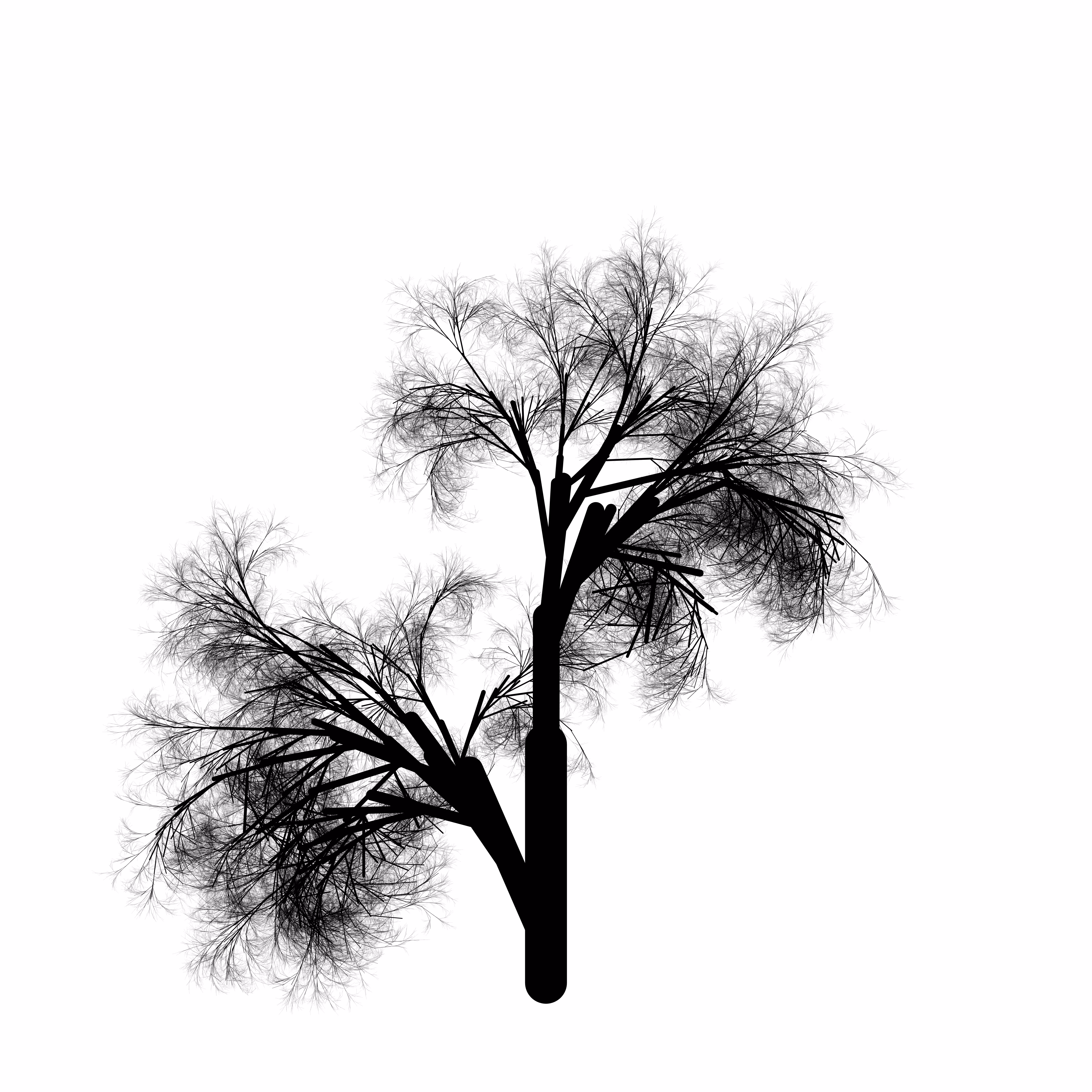 qTrees1 #70