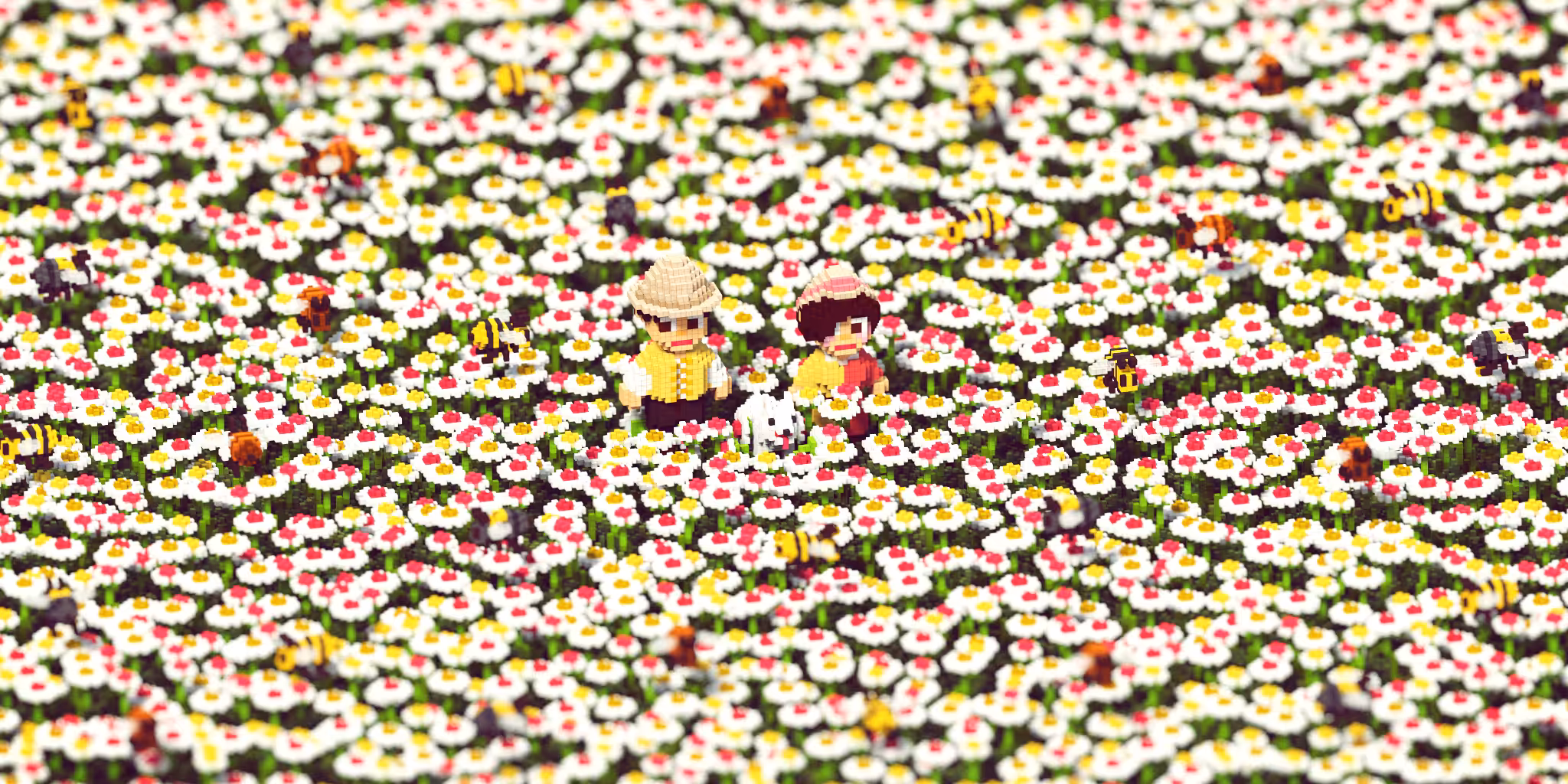 Among White Daisies #1