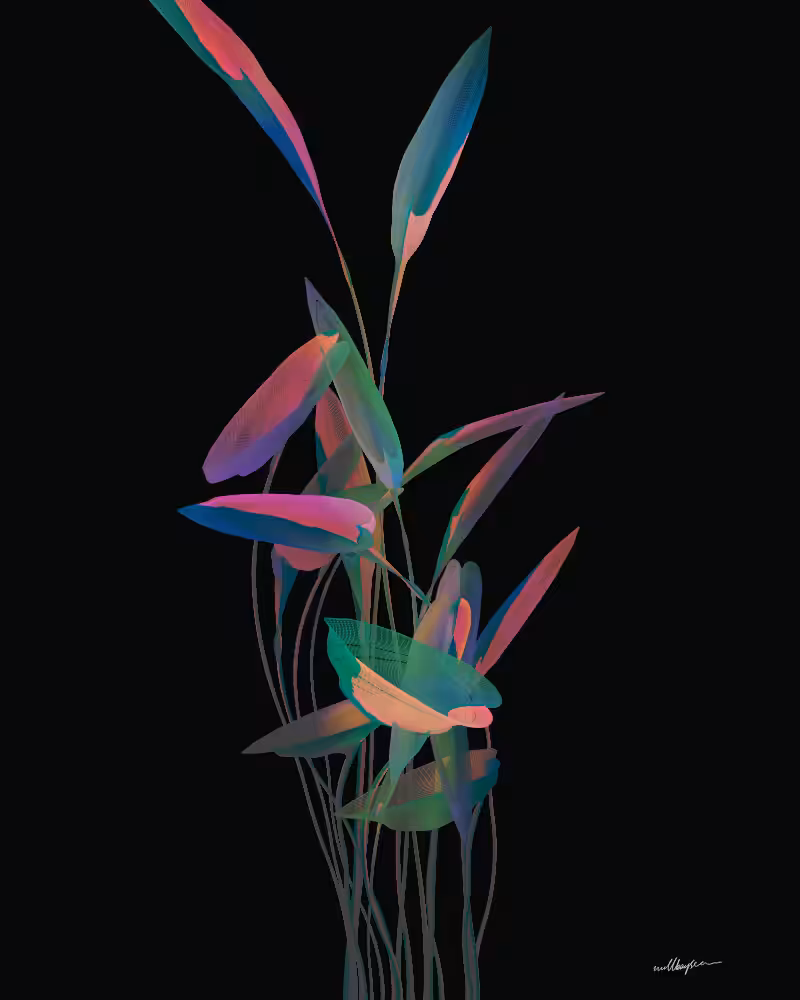 InBloom #33