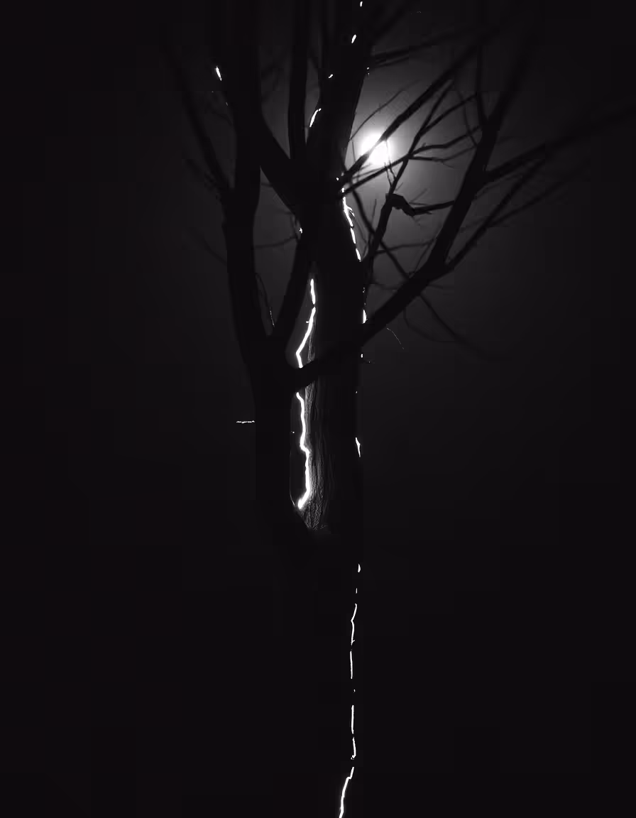 Good night Universe