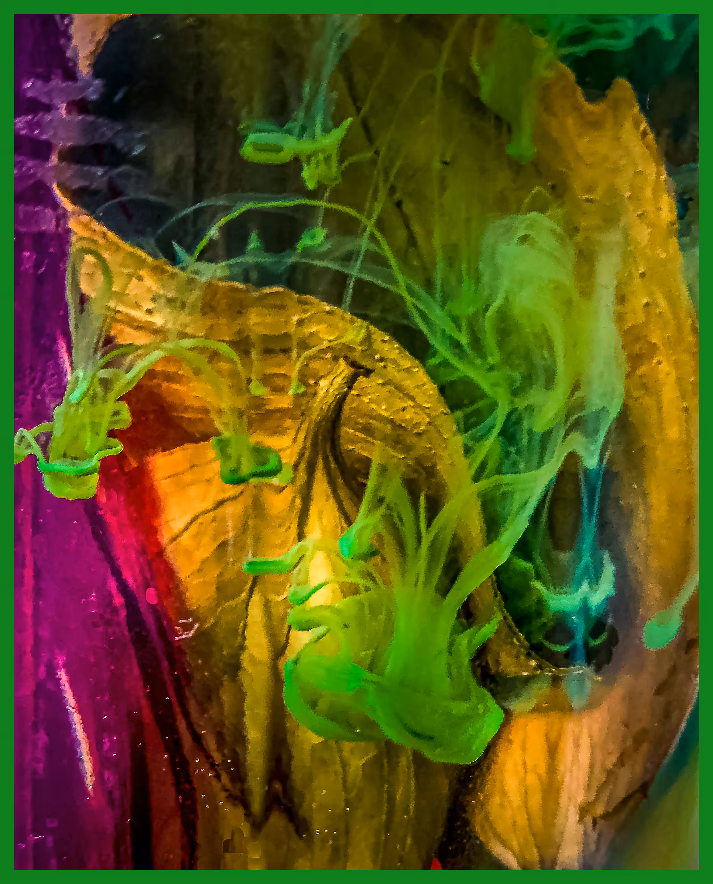 Submerged Art 1
