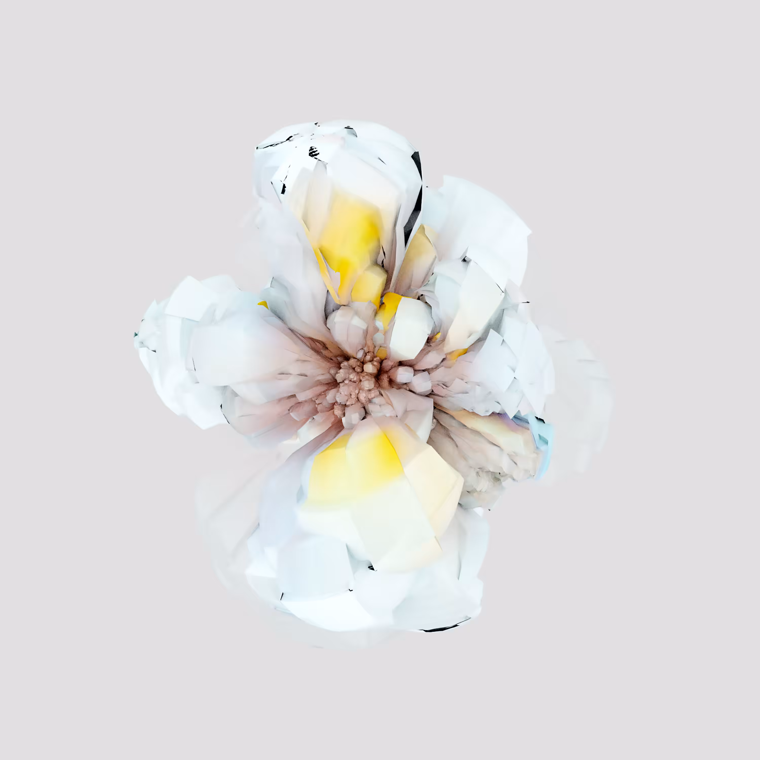Blender Flora Cycle 001