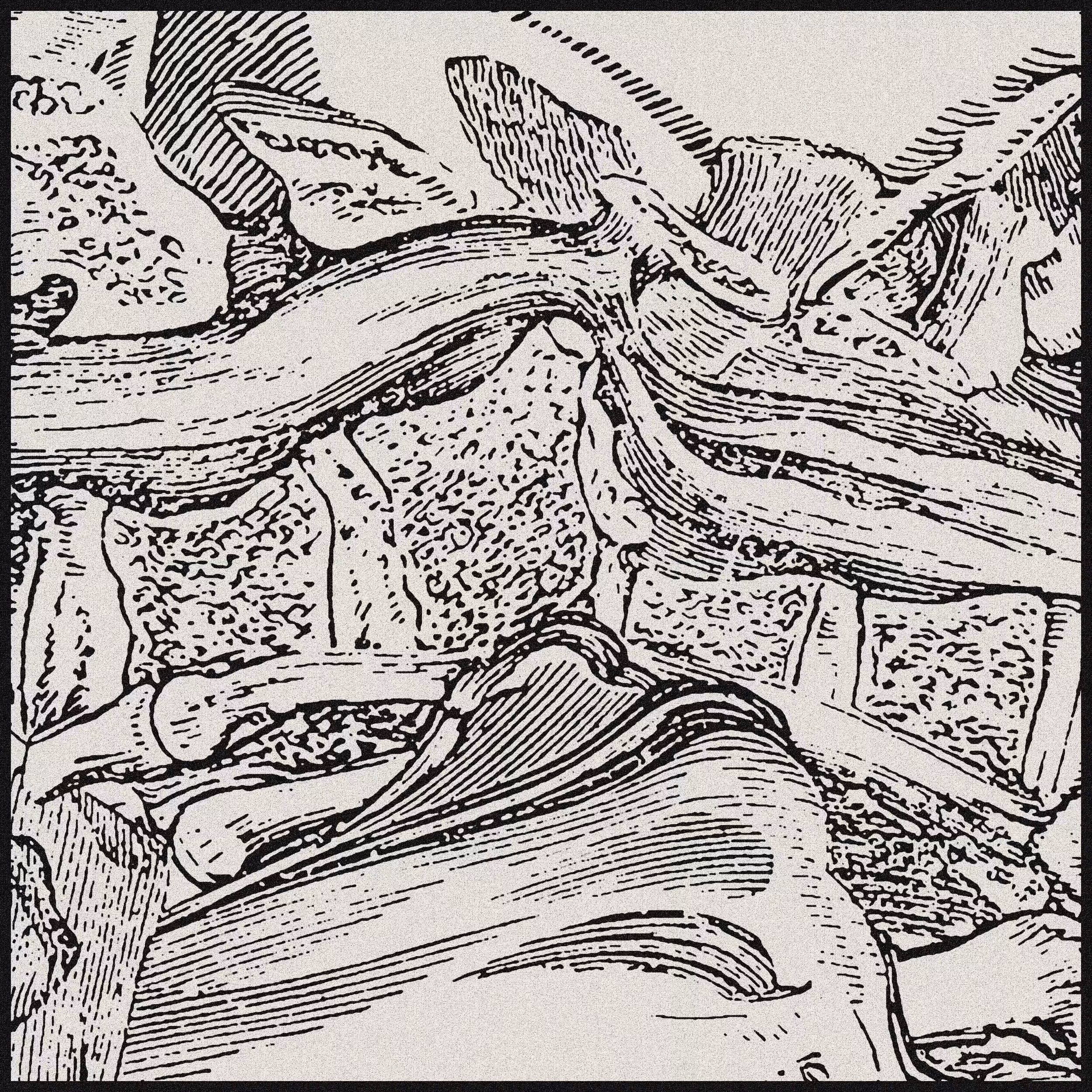 Diagenesis [12/12]