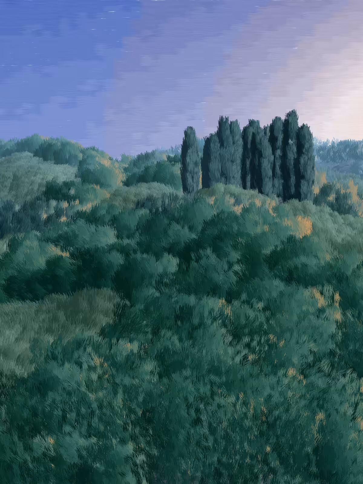 Provence #358
