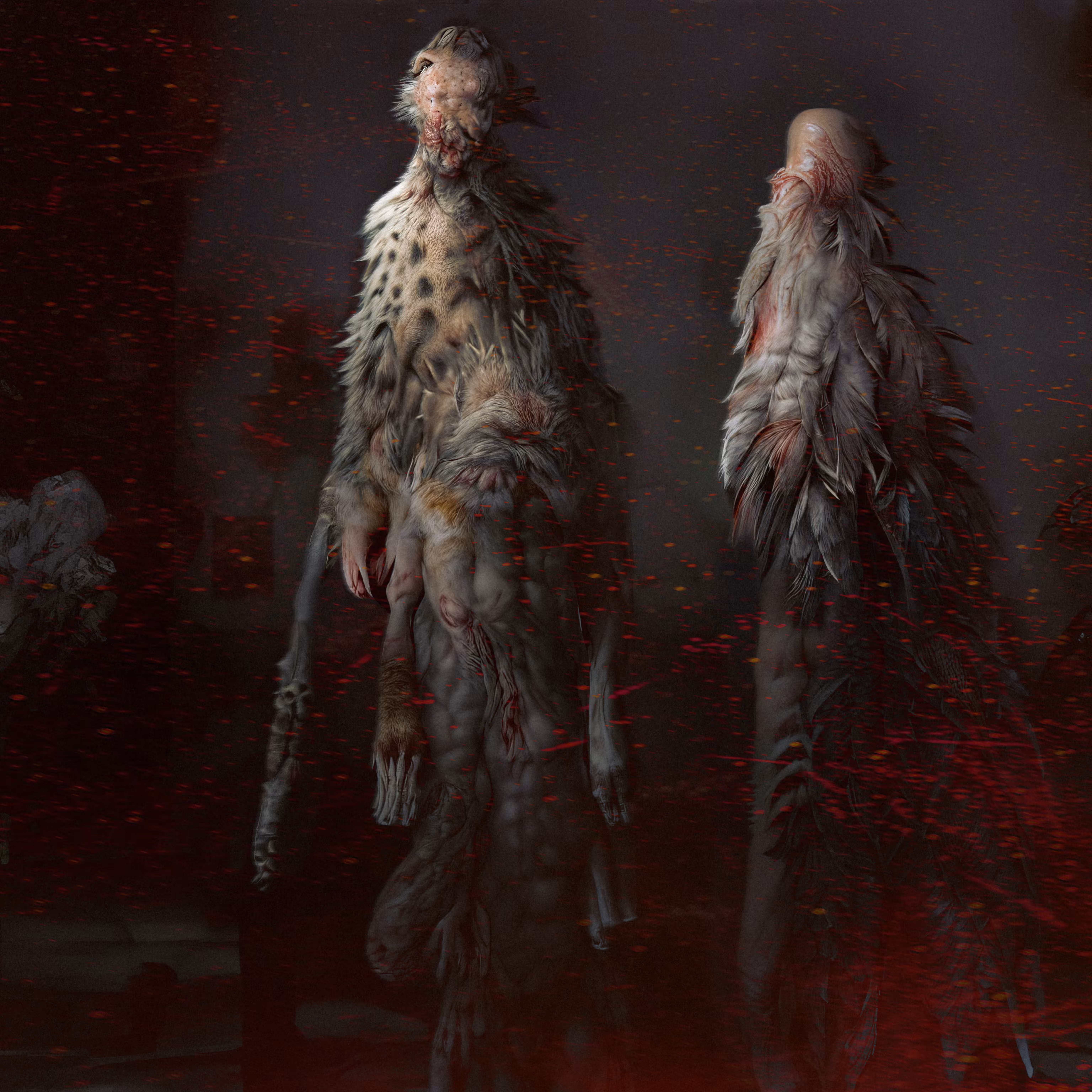 Desolation