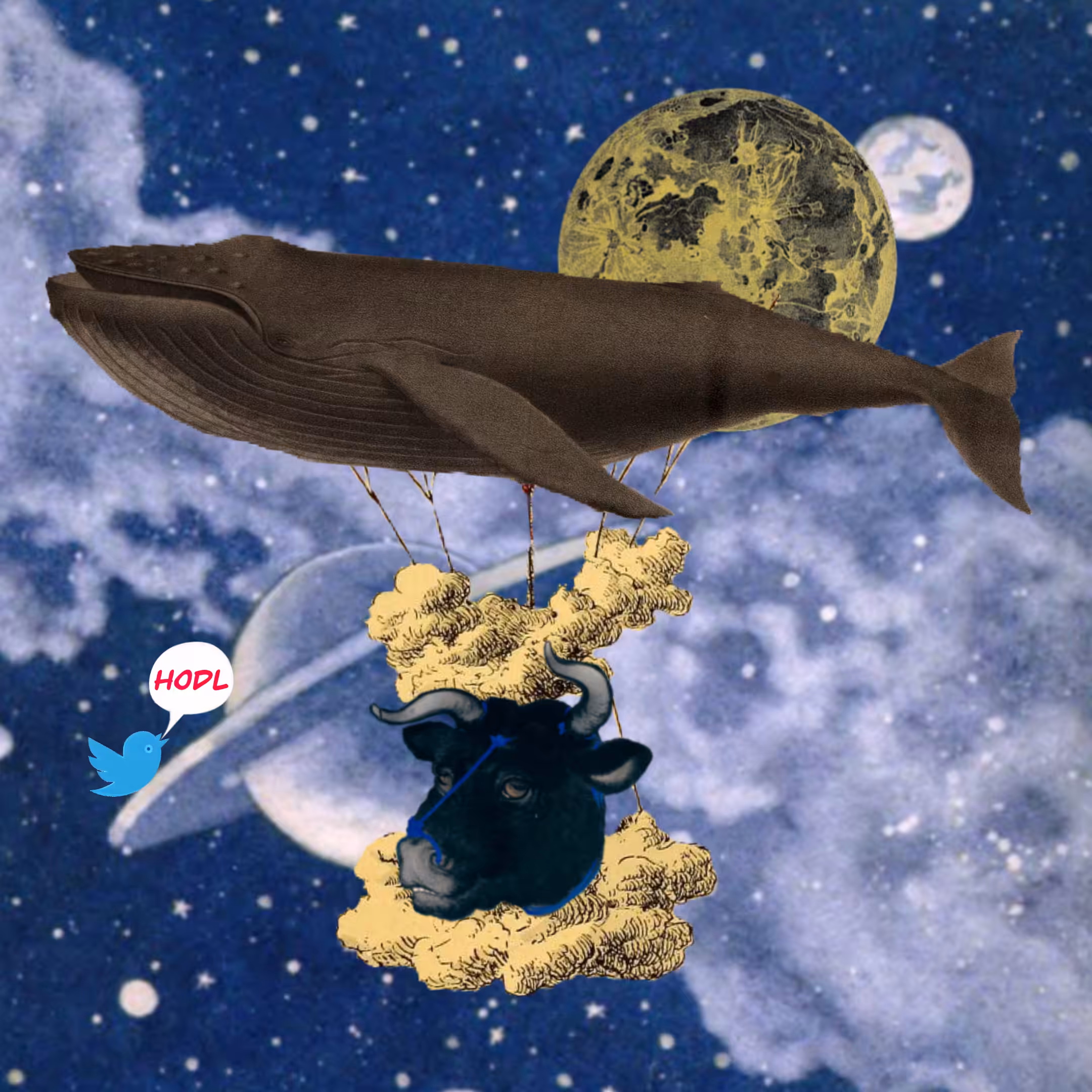 Airship #265