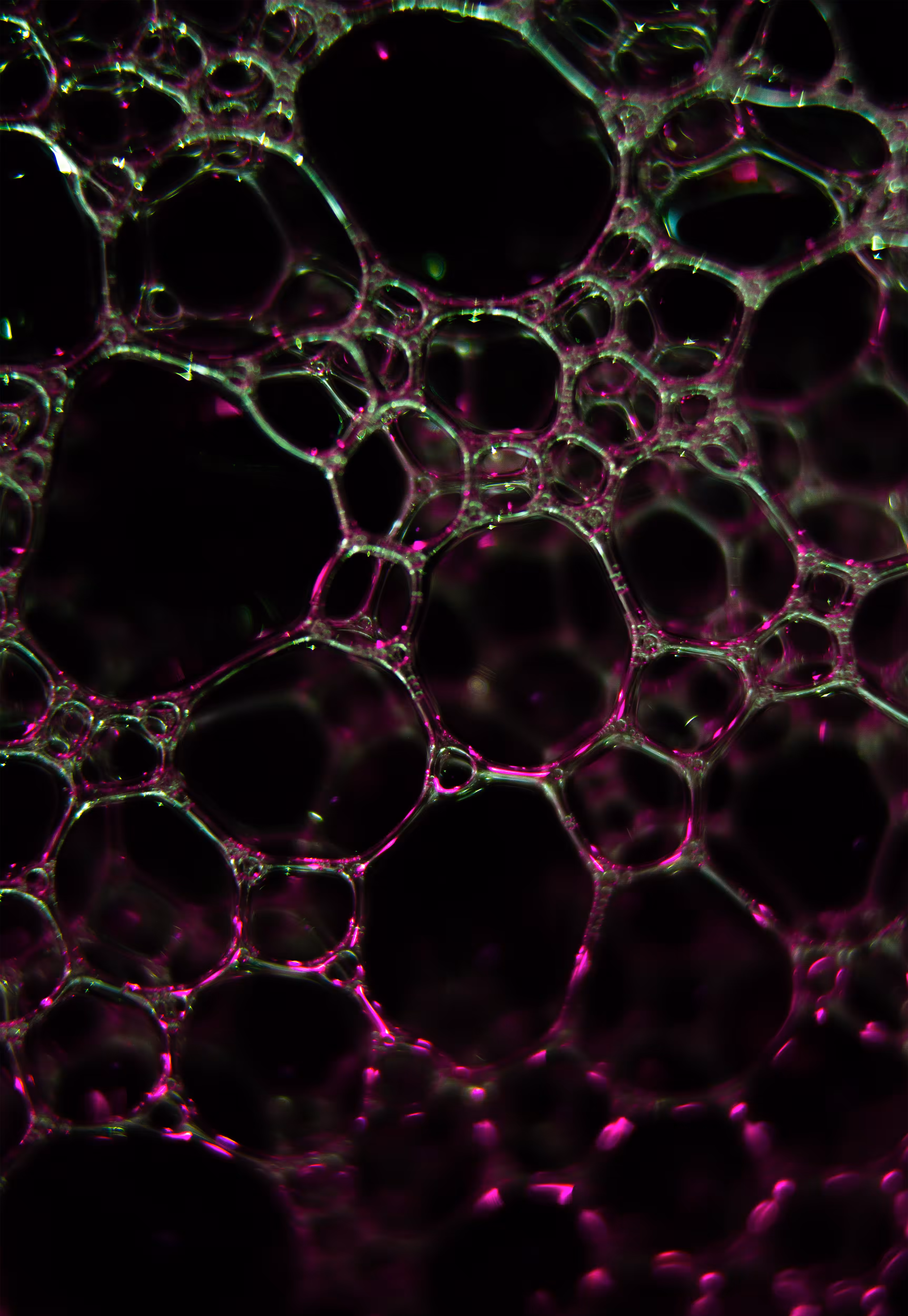 #117 Bubbles