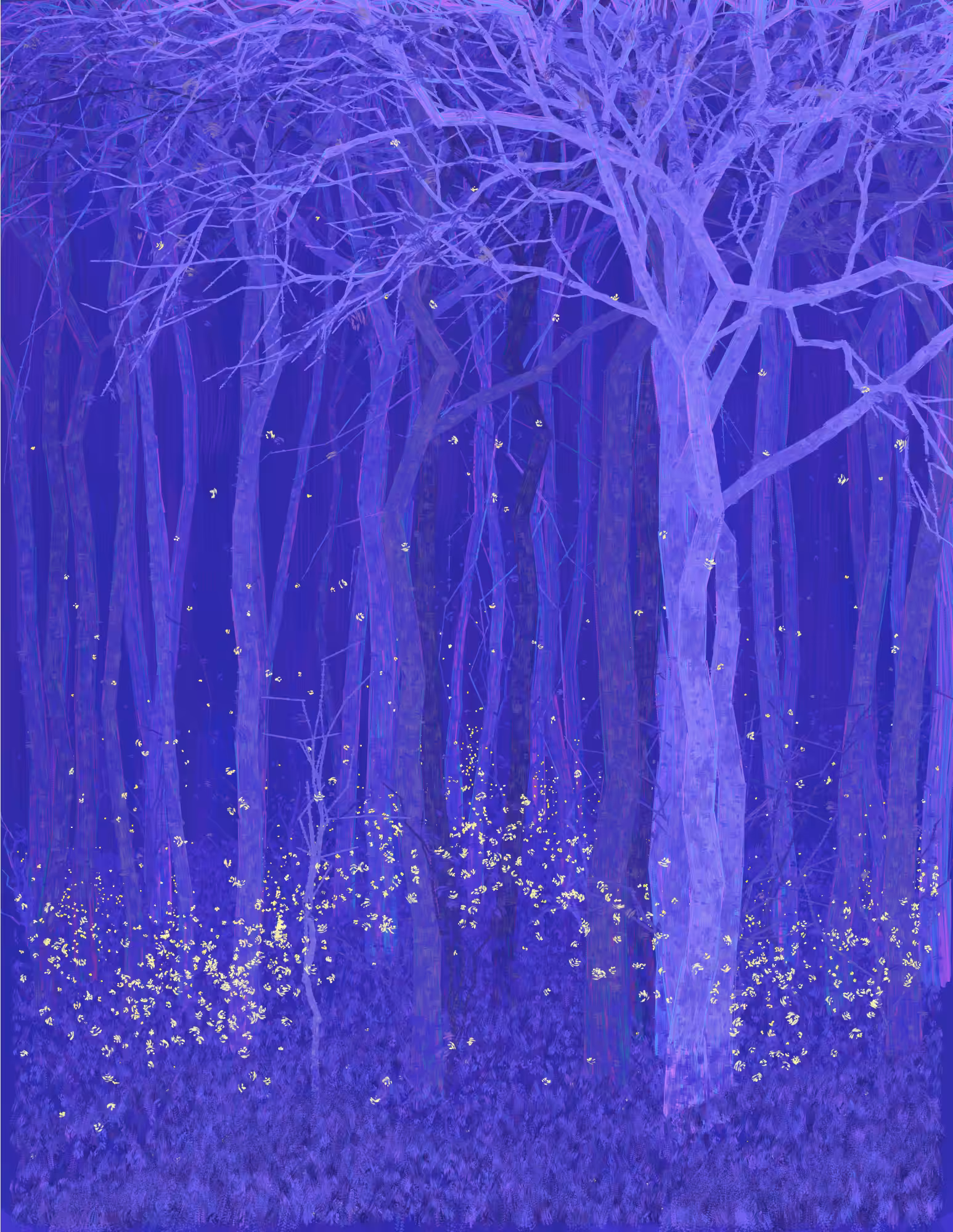 Deep Forest #16