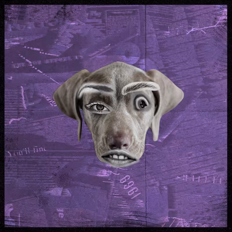 Doggenstein #6