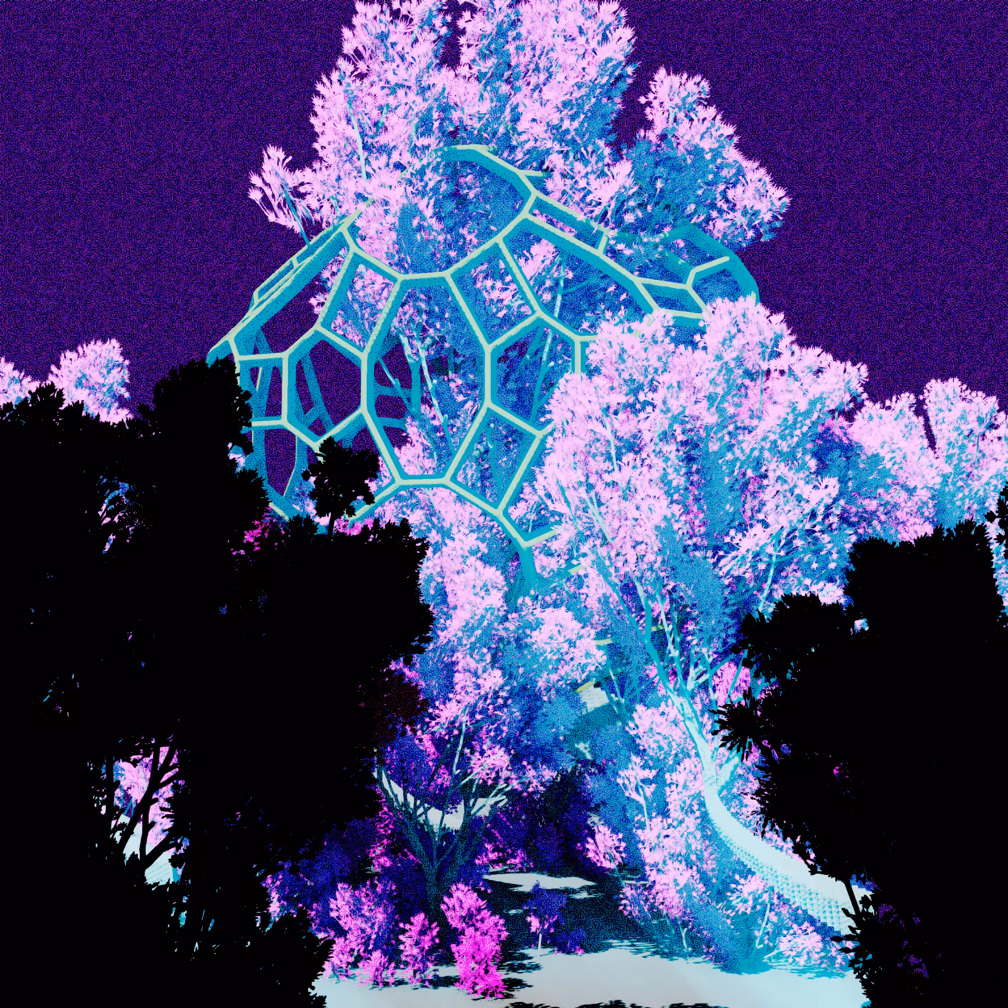 Urban Flora #2