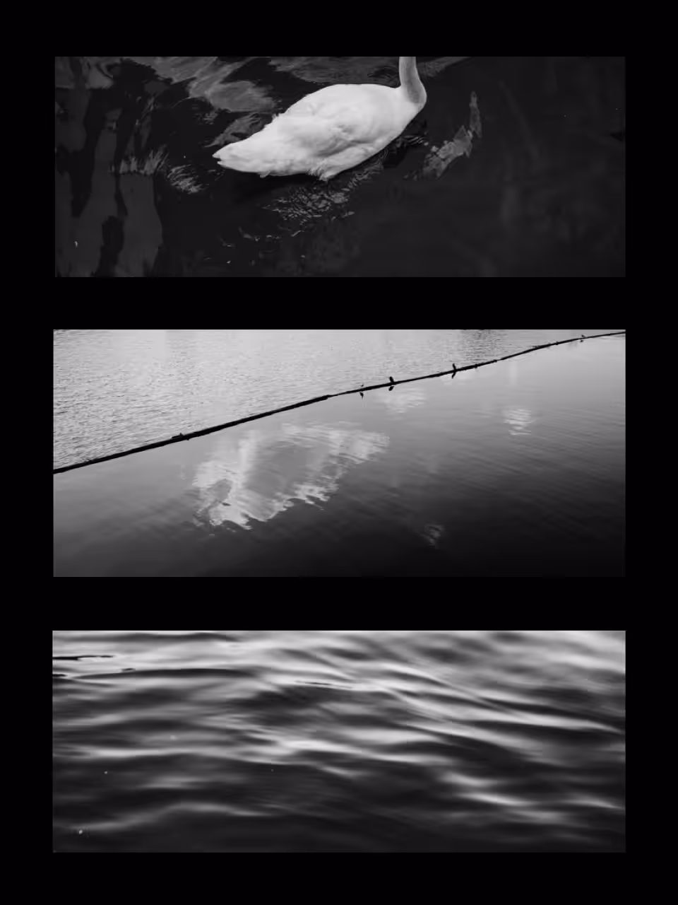 Water