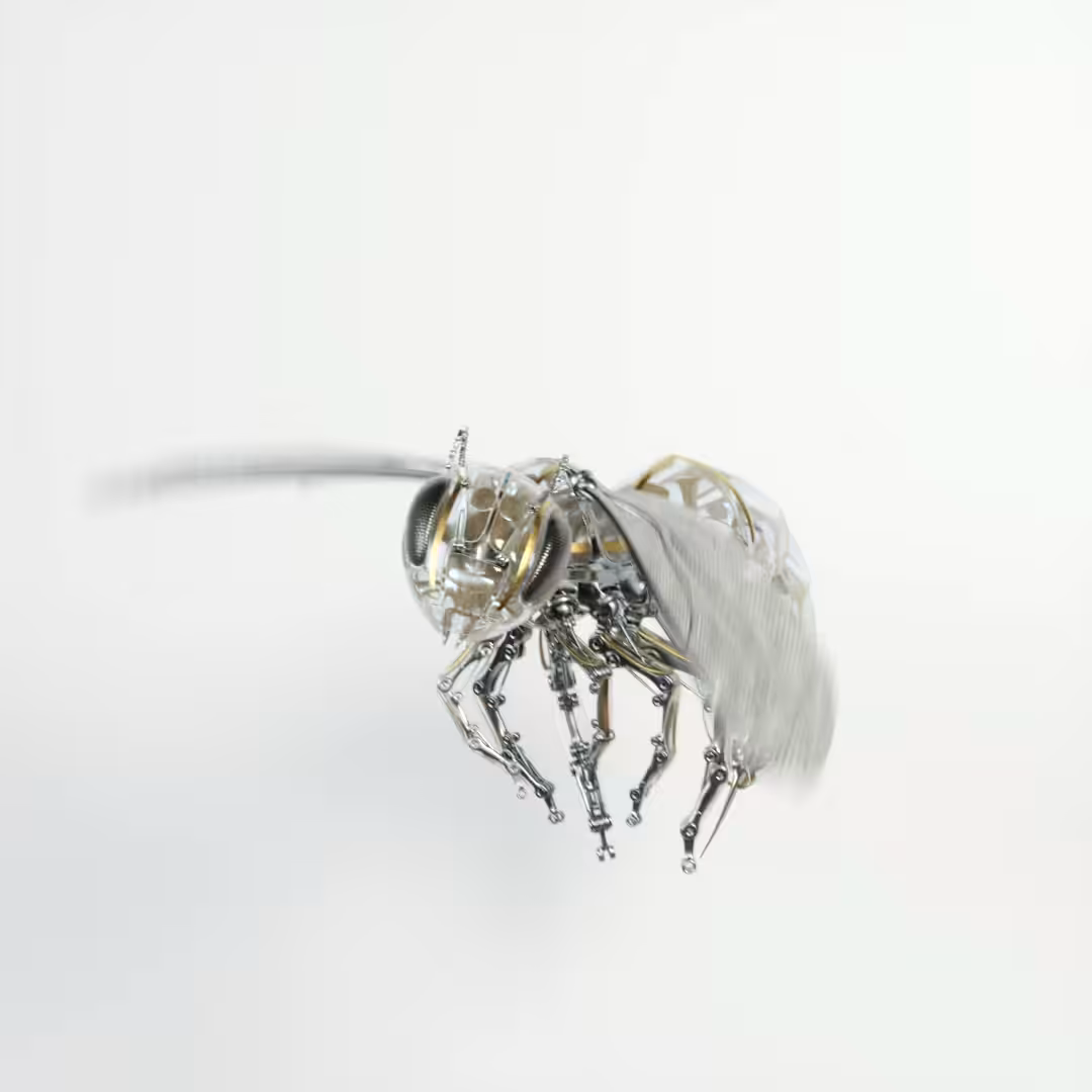 Amegilla Cingulata Mech